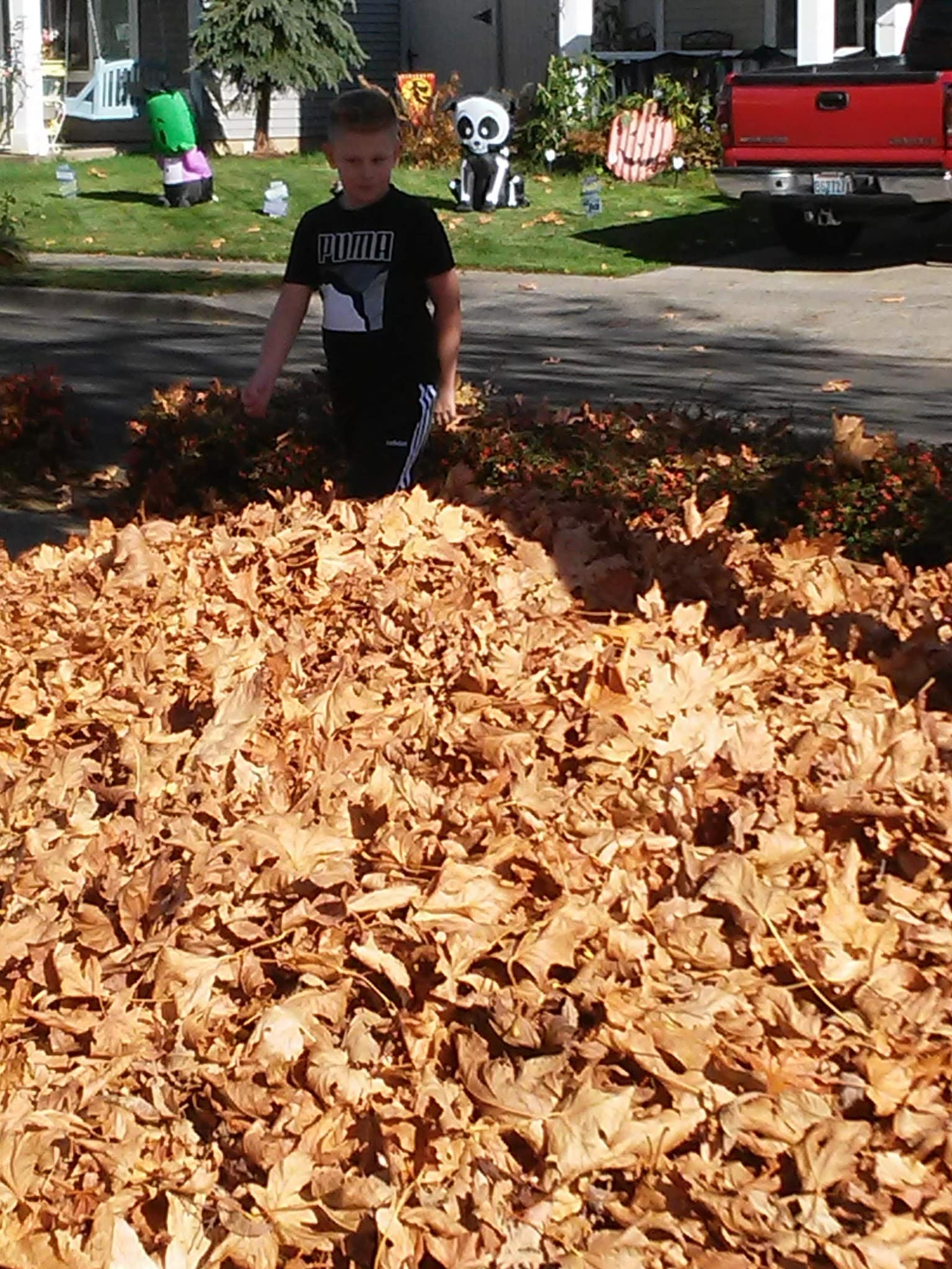 McConnell Park - Battle Ground, WA