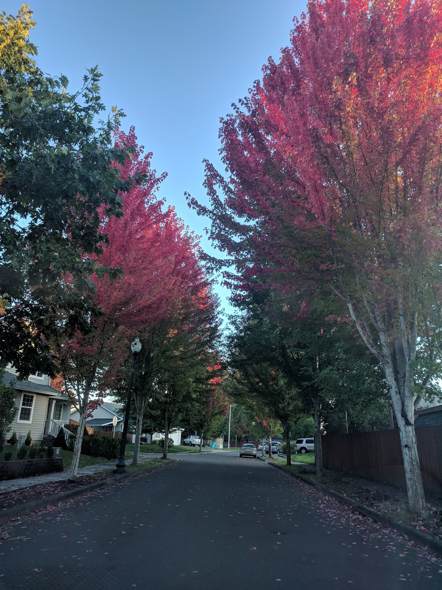 McConnell Park - Battle Ground, WA