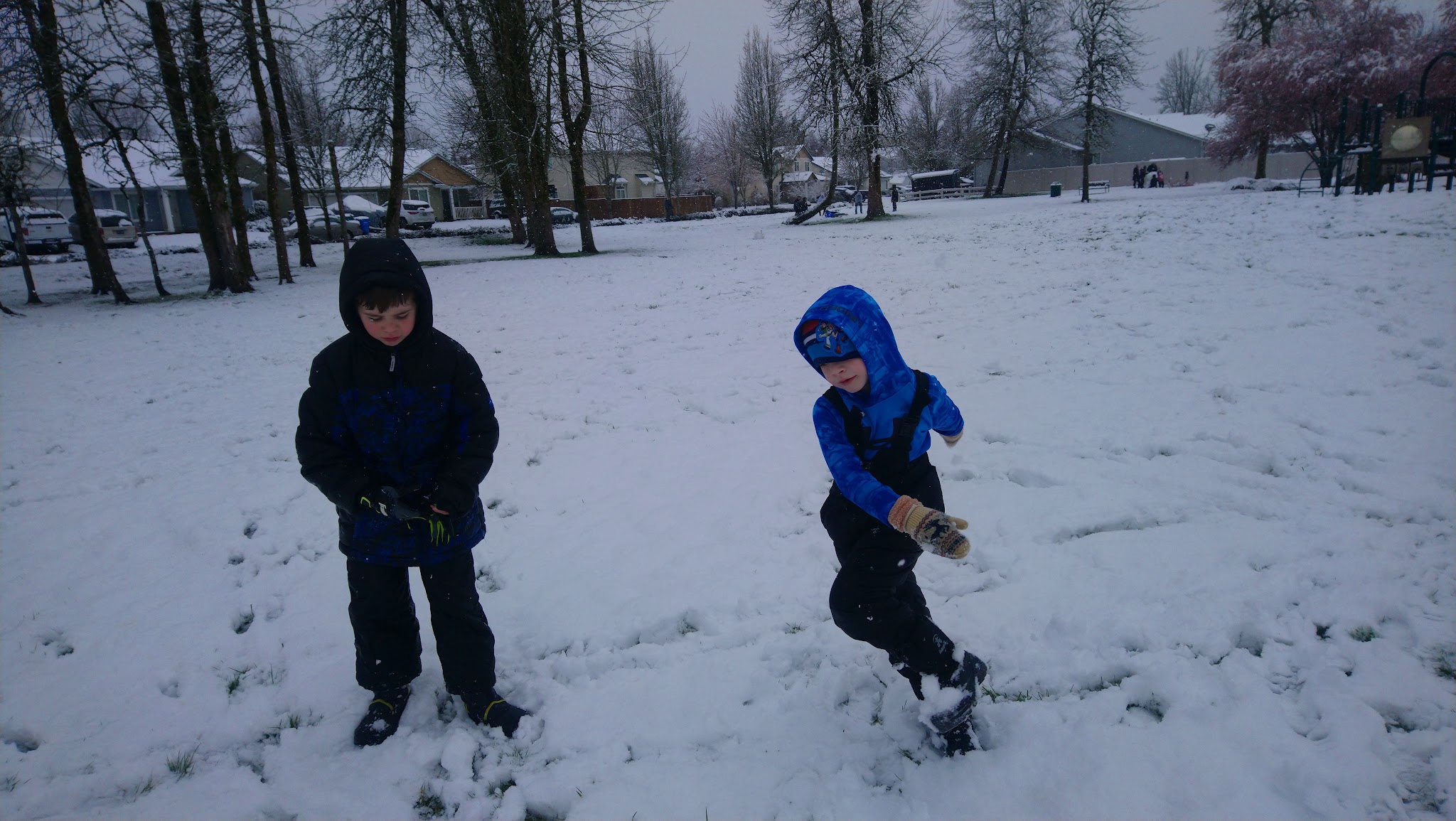 McConnell Park - Battle Ground, WA