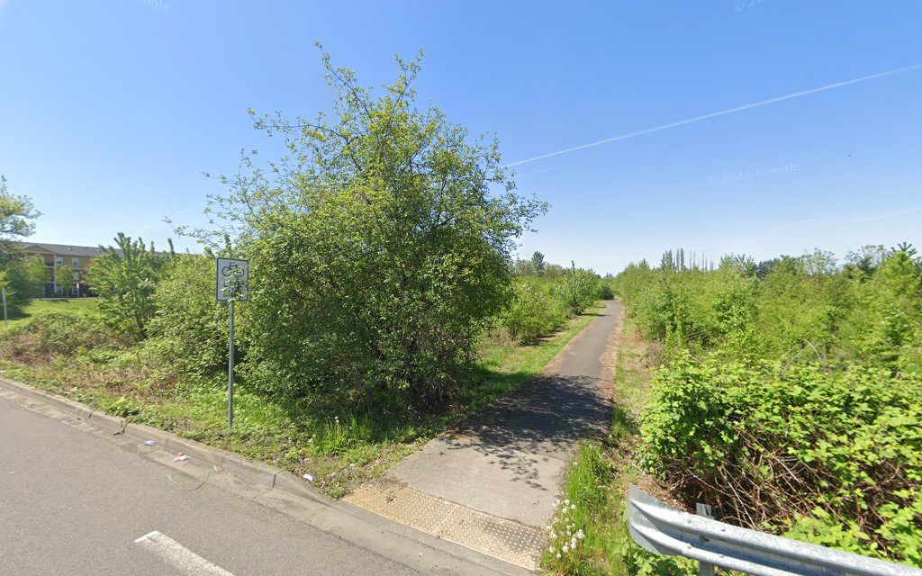 Remy Wetland Trail - Battle Ground, WA