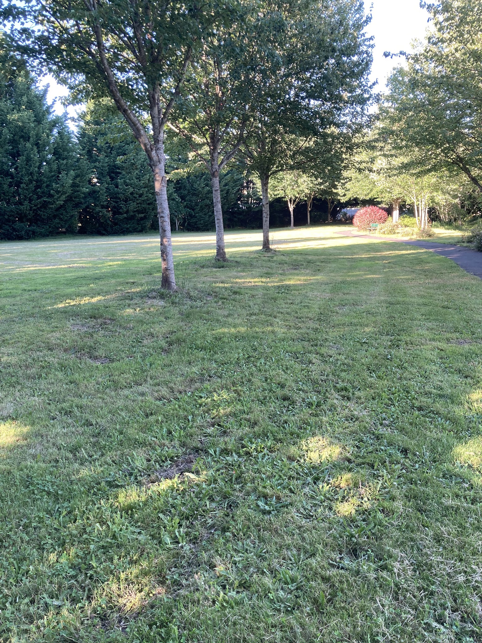 Triangle Park - Battle Ground, WA