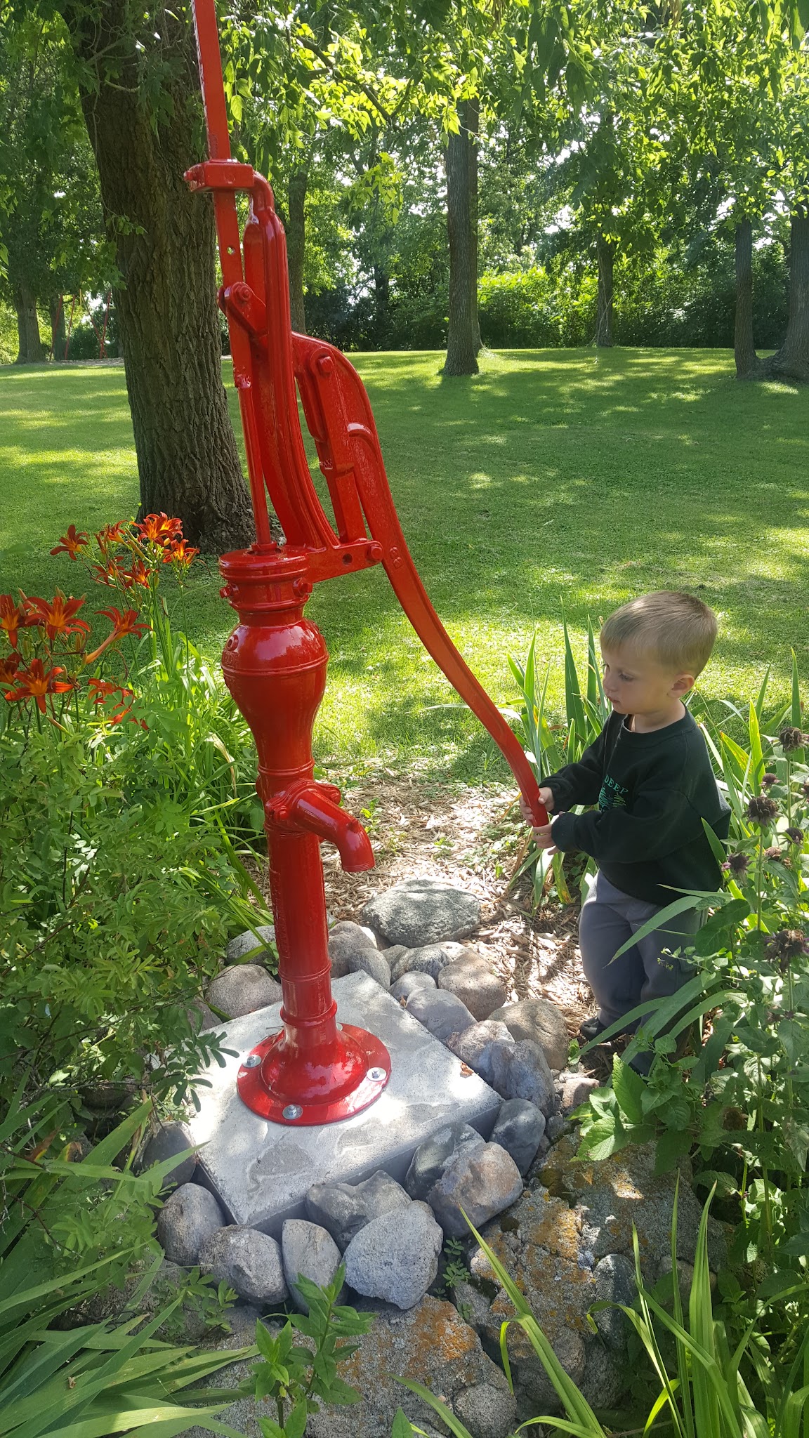 Amor Park - Battle Lake, MN