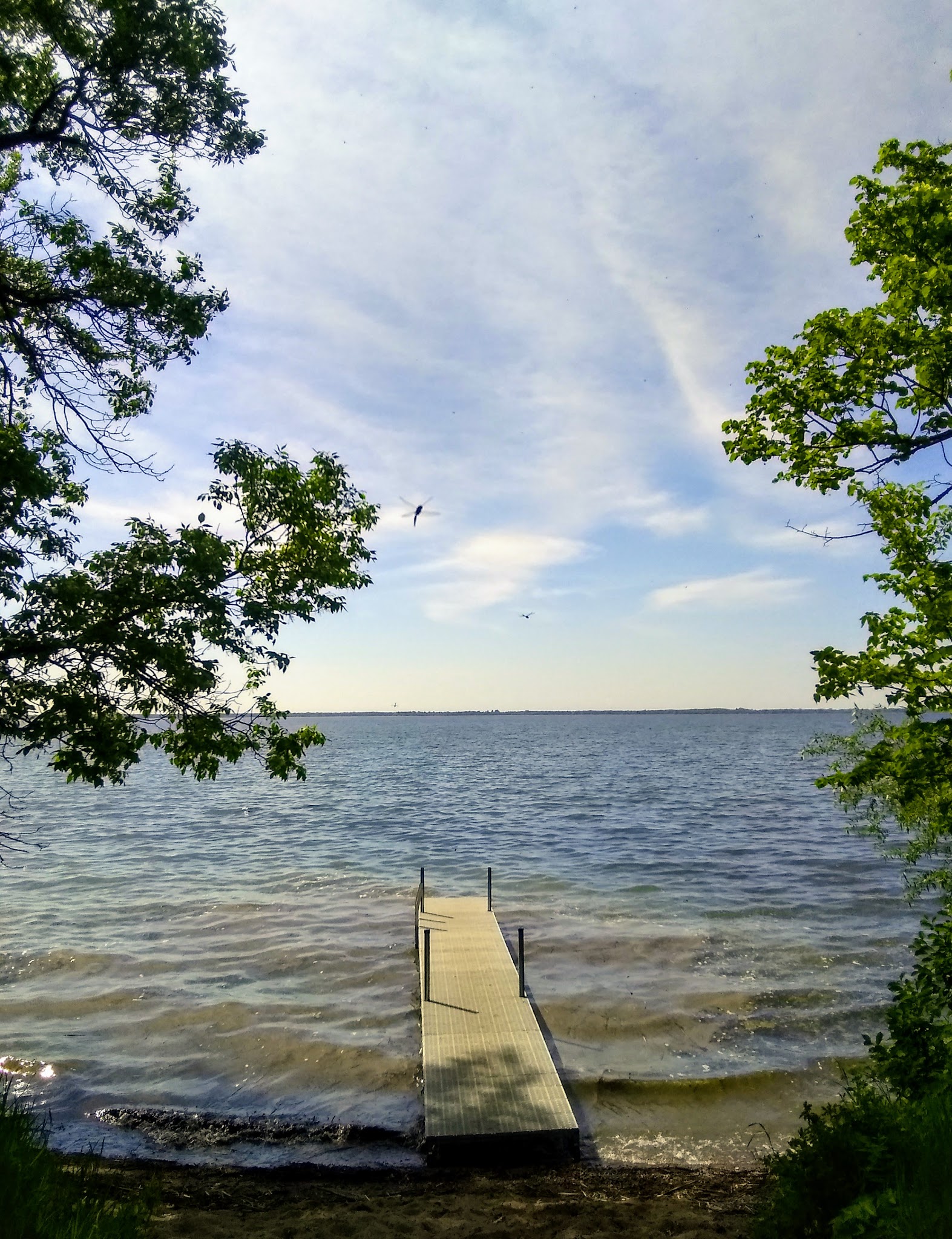 Amor Park - Battle Lake, MN