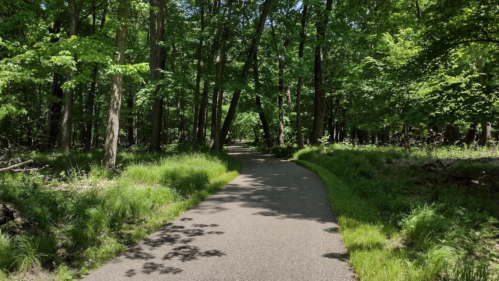 Glendalough State Park - Battle Lake, MN