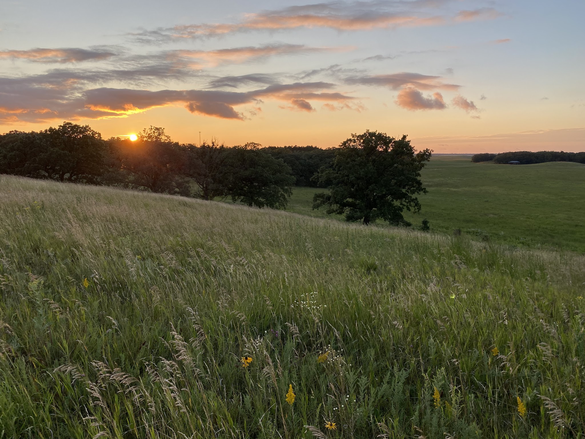 Glendalough State Park - Battle Lake, MN