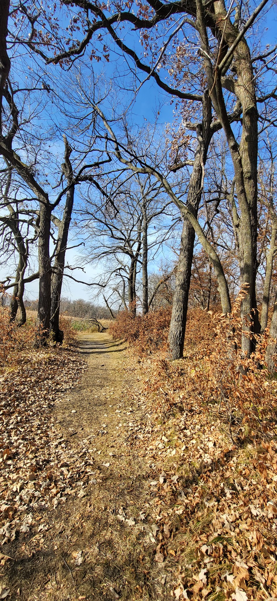 Glendalough State Park - Battle Lake, MN