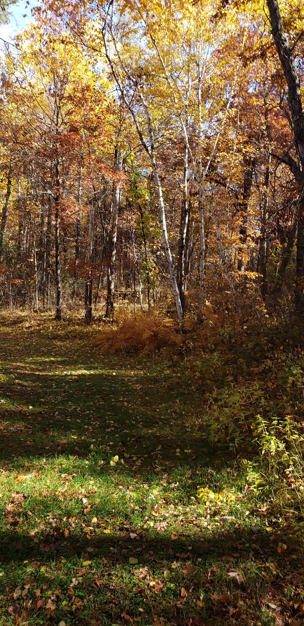 Paul Bunyan State Trail - Baxter Trailhead Parking - Baxter, MN