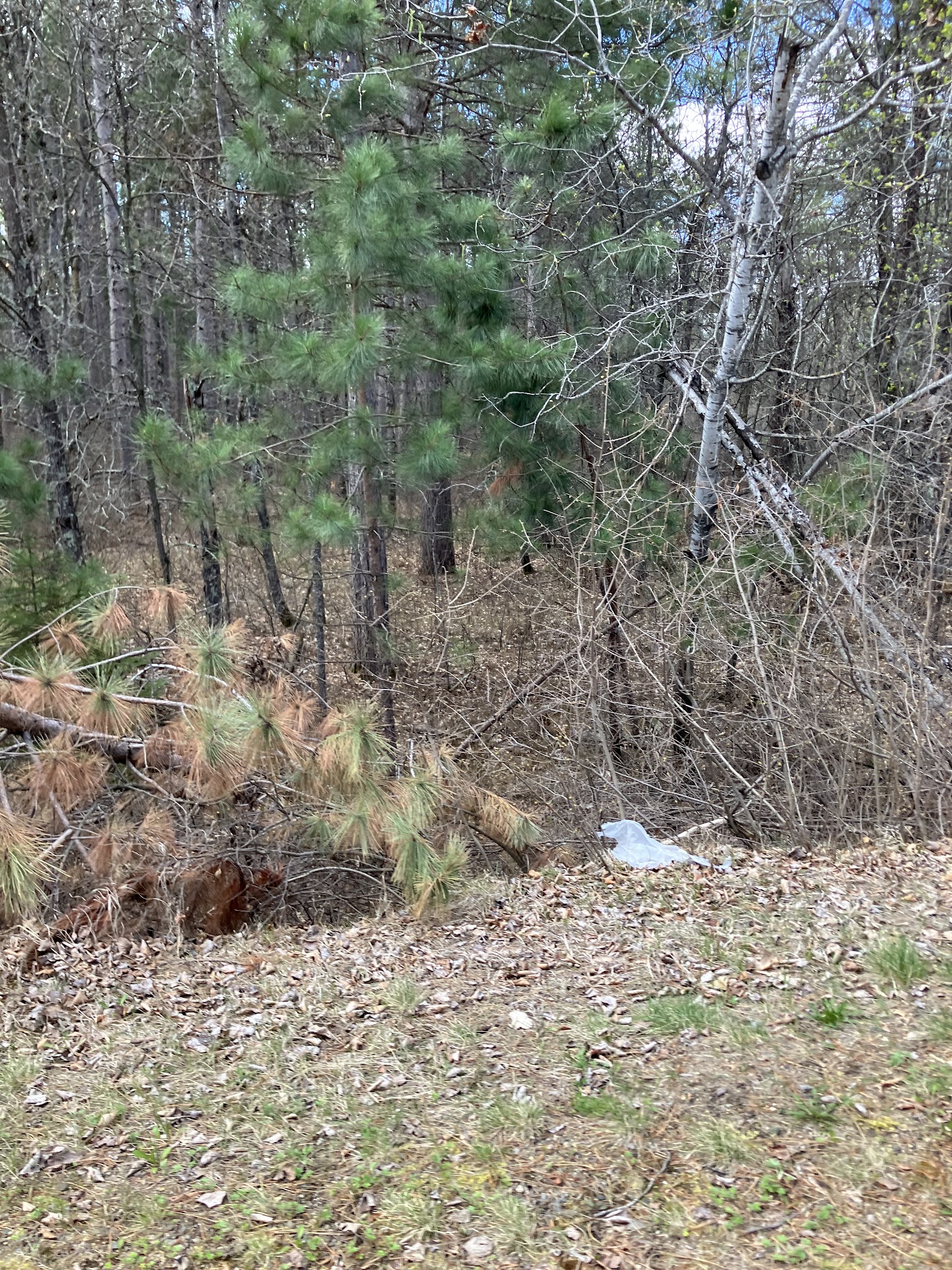 Paul Bunyan Trail - Baxter, MN