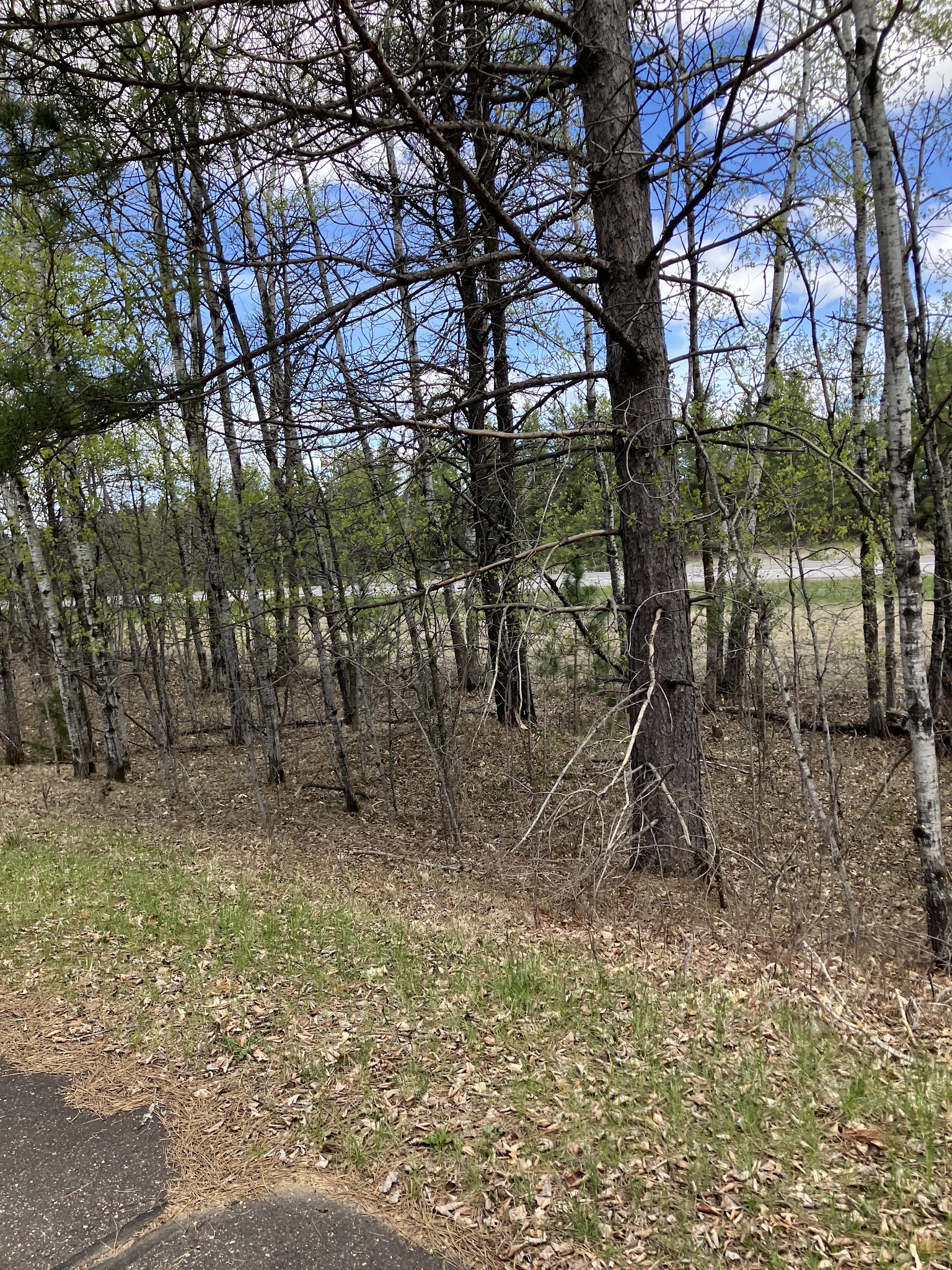 Paul Bunyan Trail - Baxter, MN