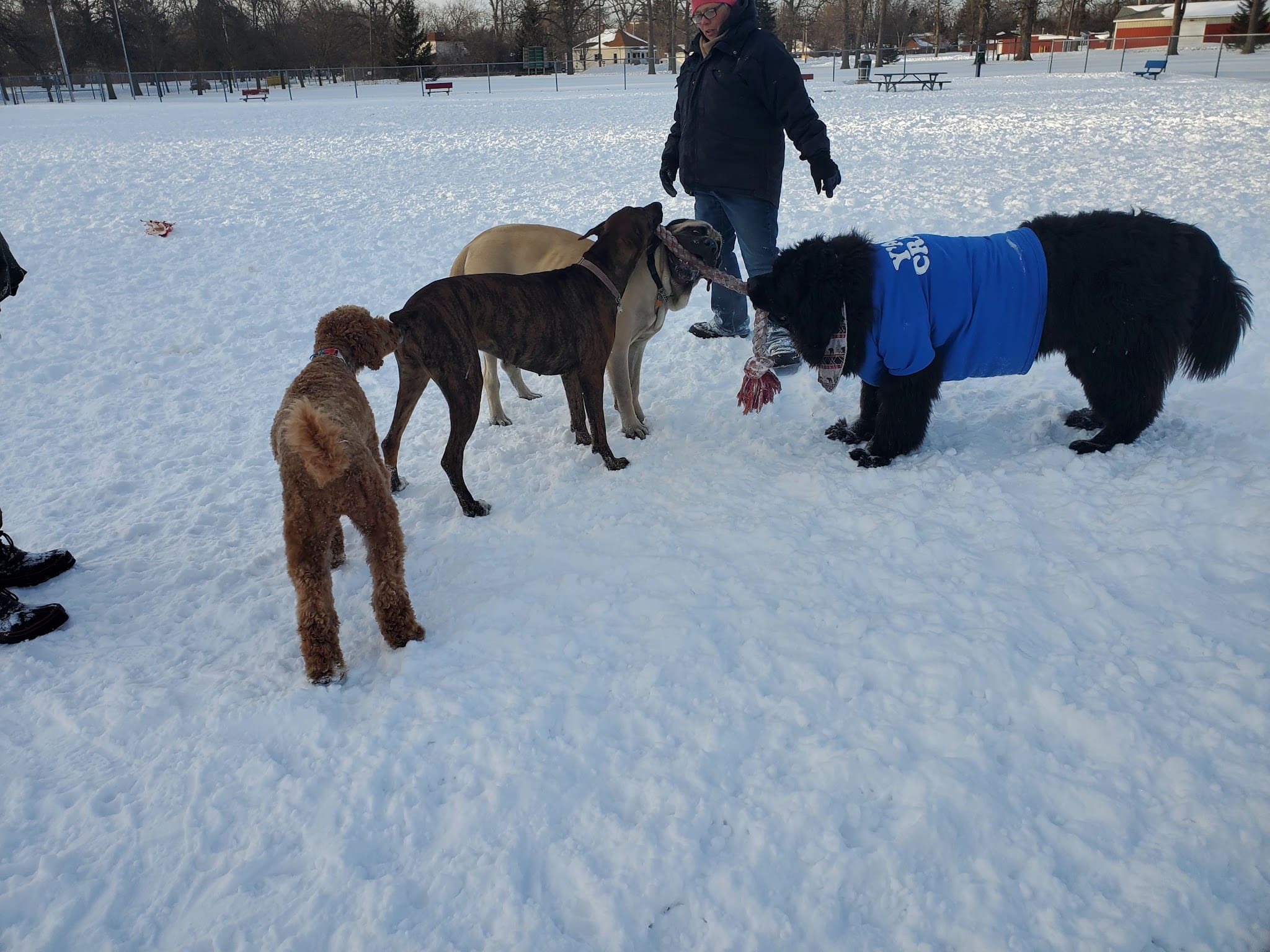 Bay County Dog Park - Bay City, MI