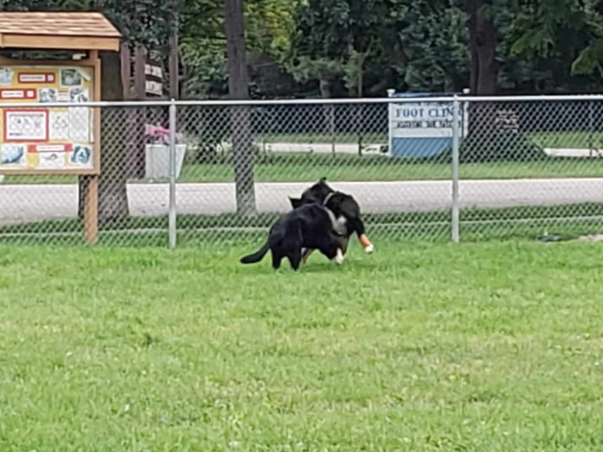 Bay County Dog Park - Bay City, MI