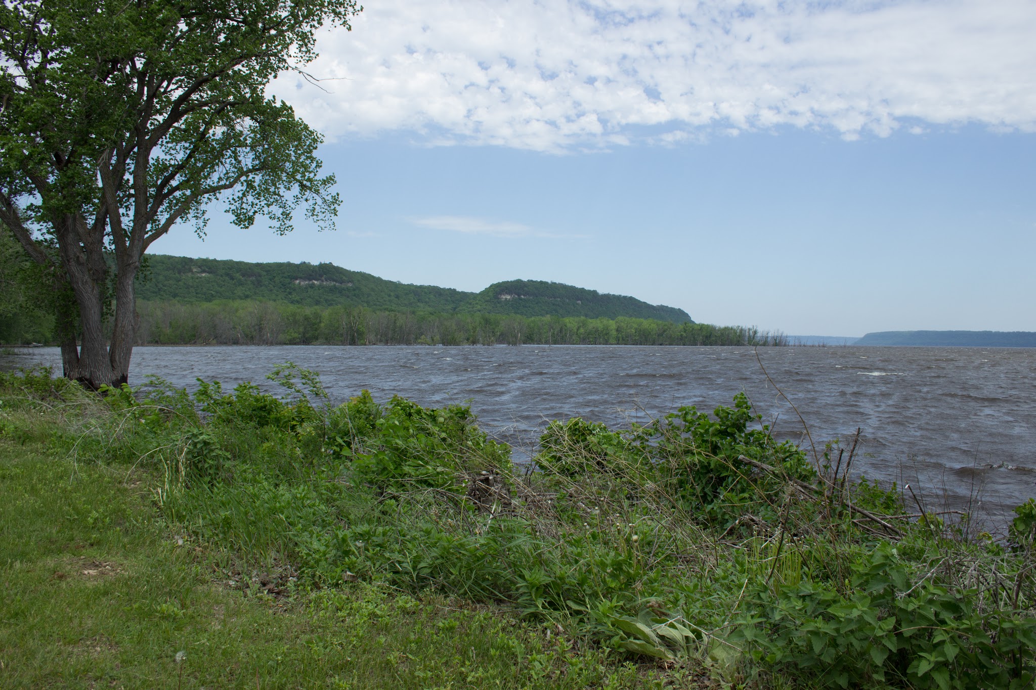 Saratoga Park - Bay City, WI
