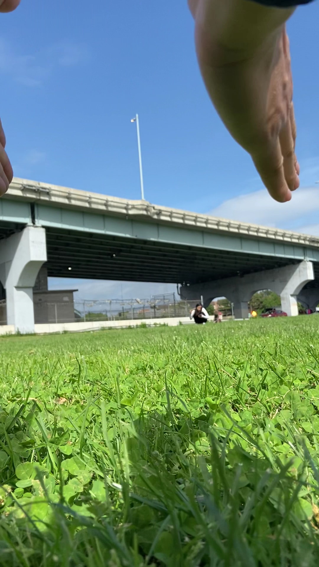 Throgs Neck Dog Park - Bayside, NY