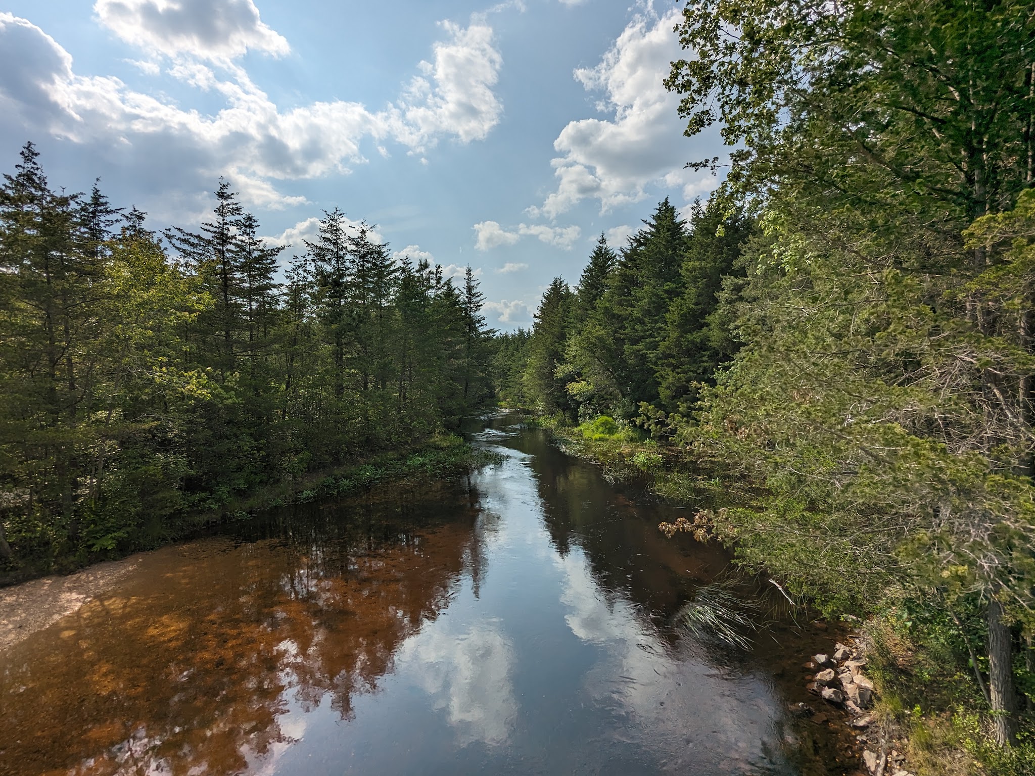 Double Trouble State Park - Bayville, NJ