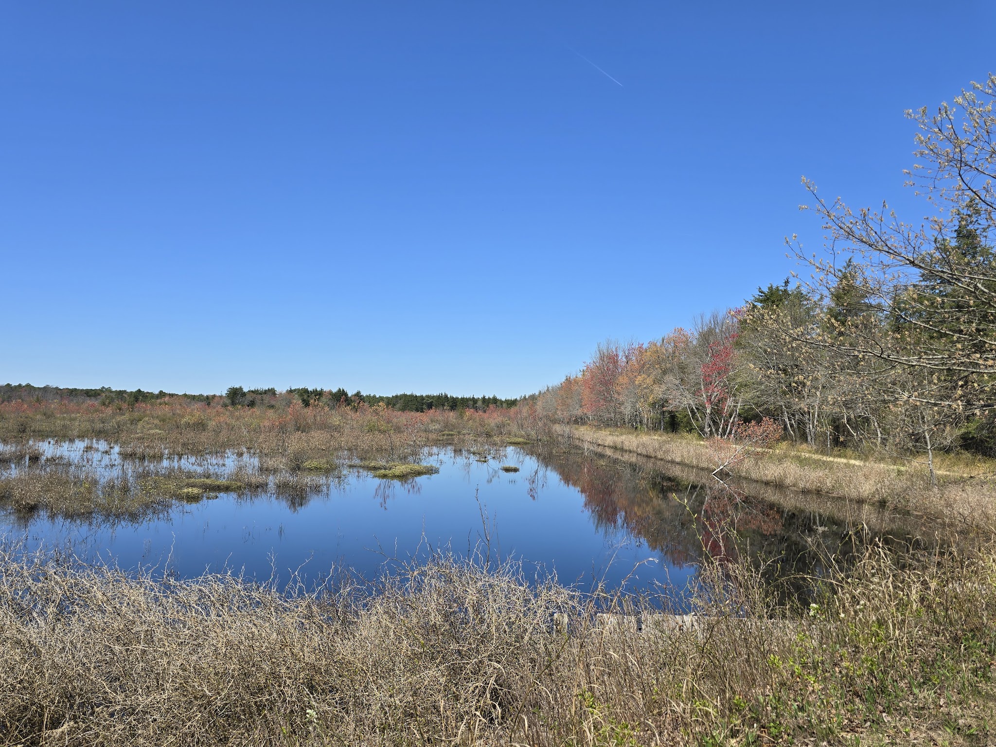 Double Trouble State Park - Bayville, NJ