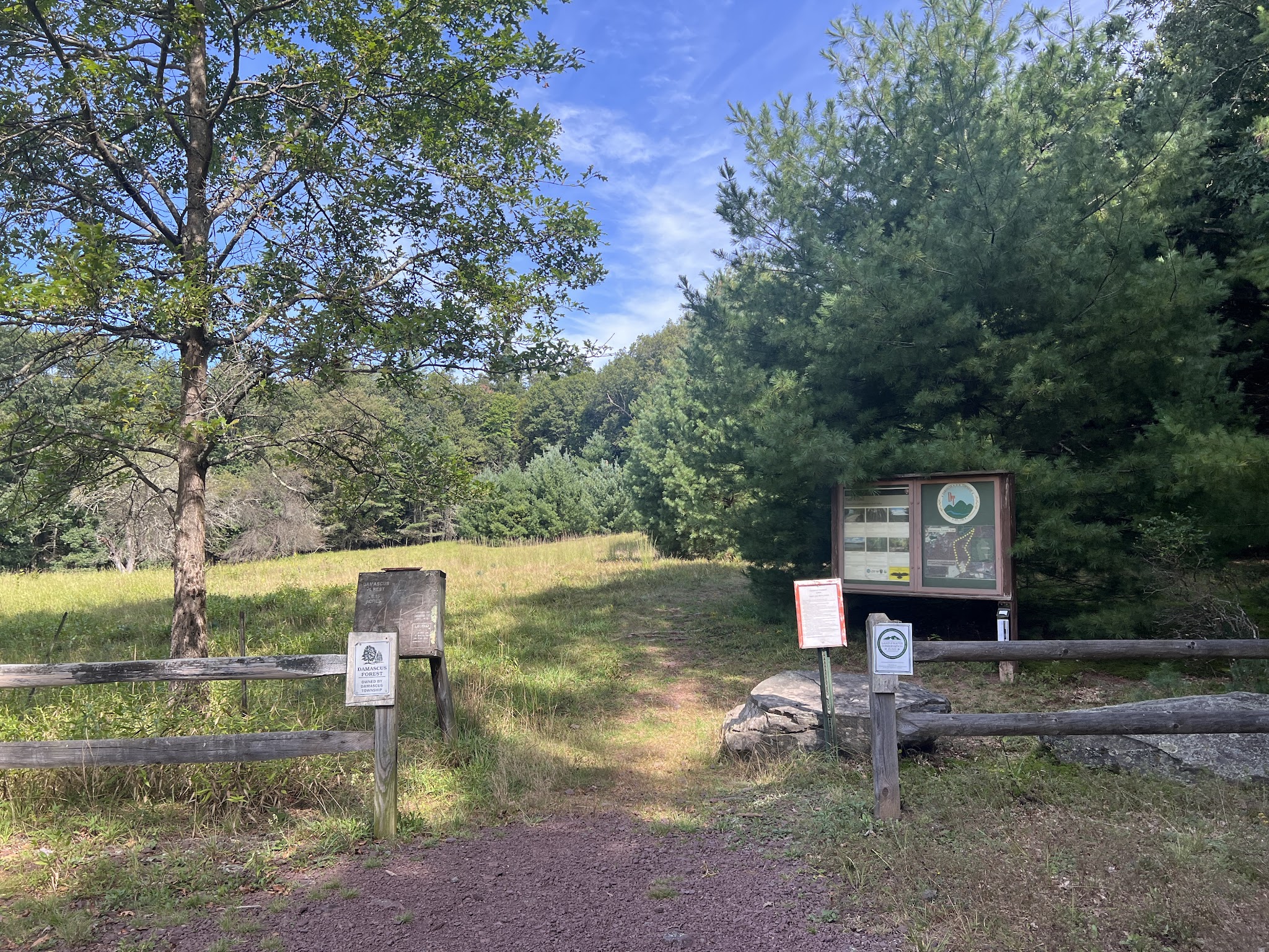 Damascus Forest Trail - Beach Lake, PA