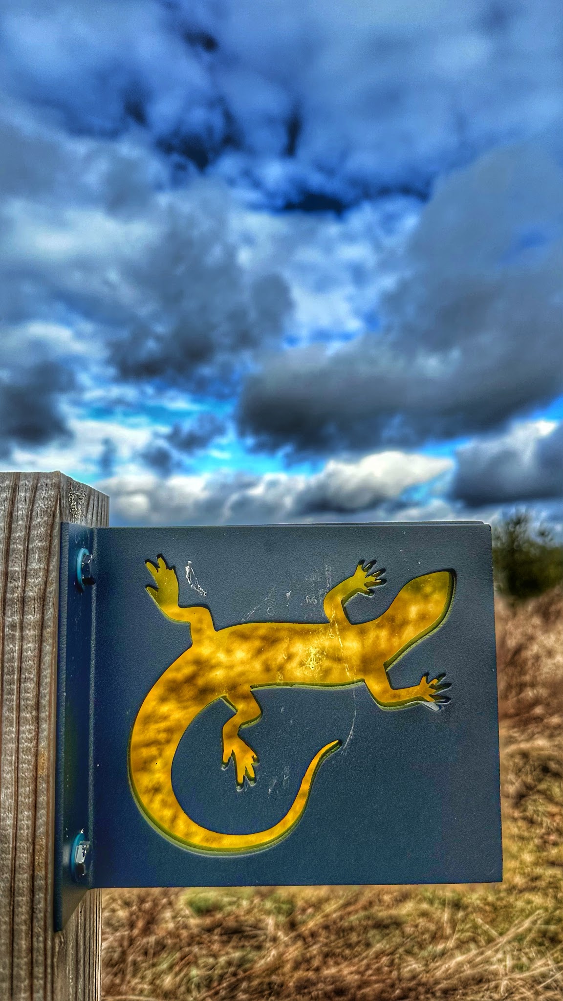 Delaware Highlands Conservancy - Van Scott Nature Reserve - Beach Lake, PA