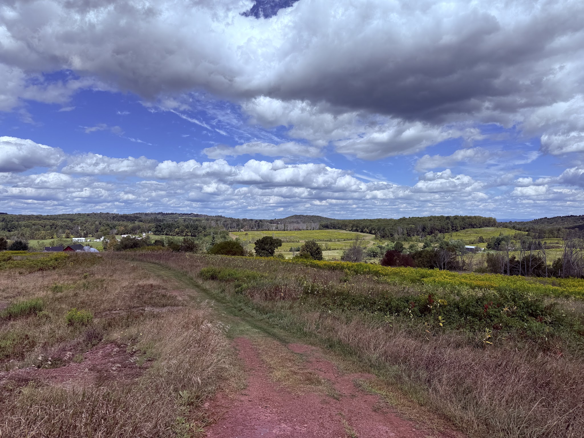 Delaware Highlands Conservancy - Van Scott Nature Reserve - Beach Lake, PA