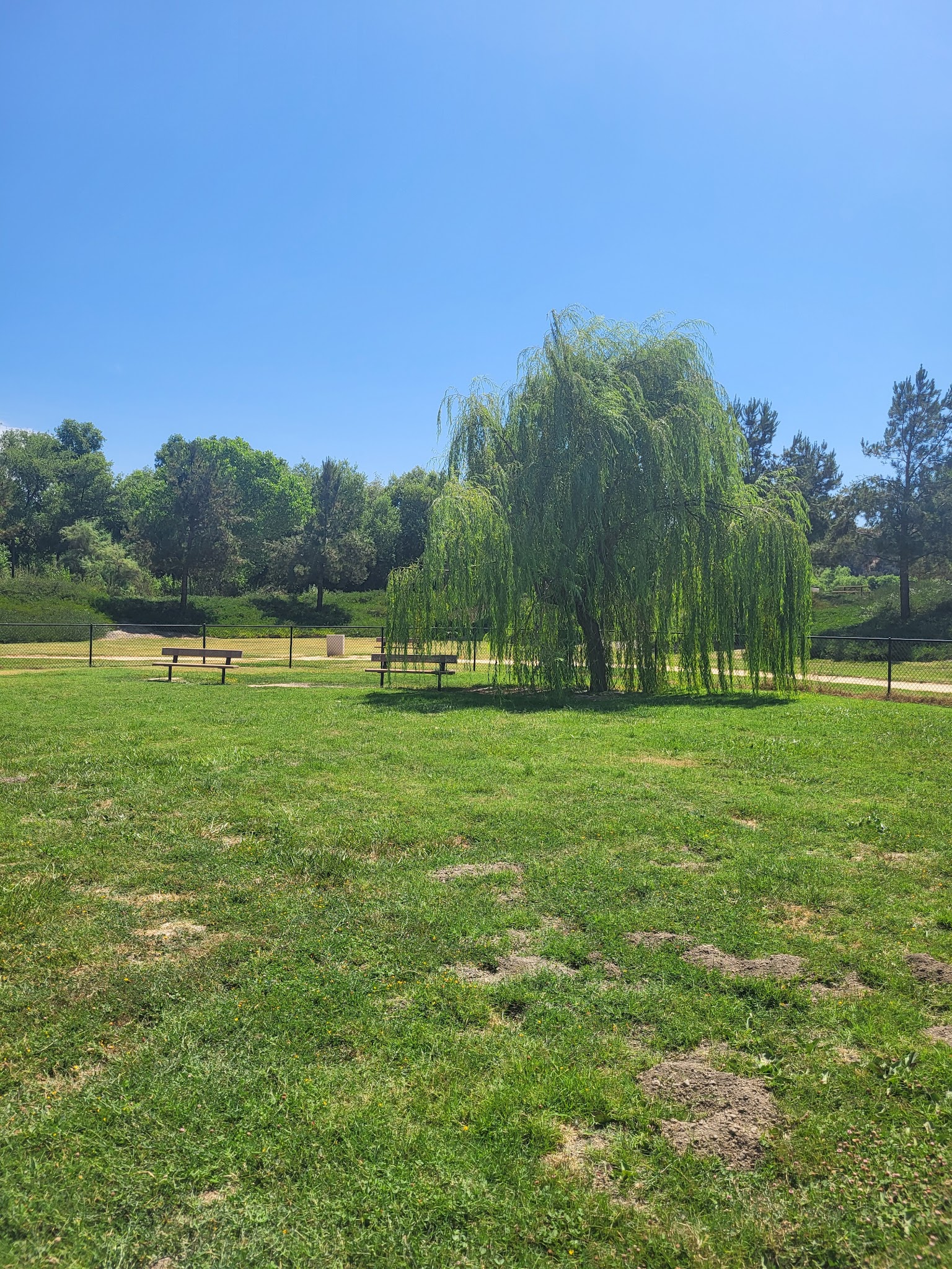 Nicklaus DiscGolf Park & Dog Park - Beaumont, CA