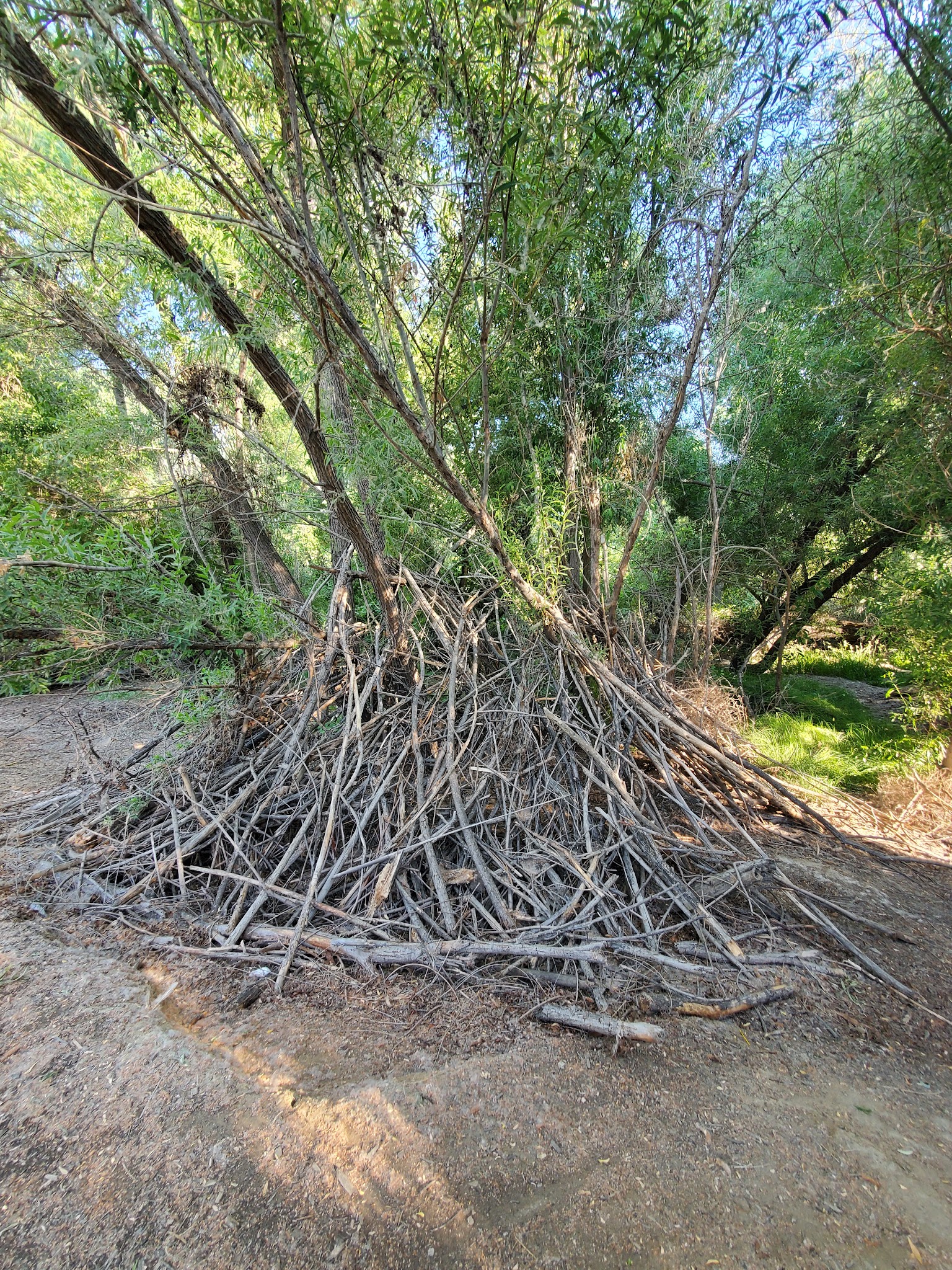 Nicklaus DiscGolf Park & Dog Park - Beaumont, CA