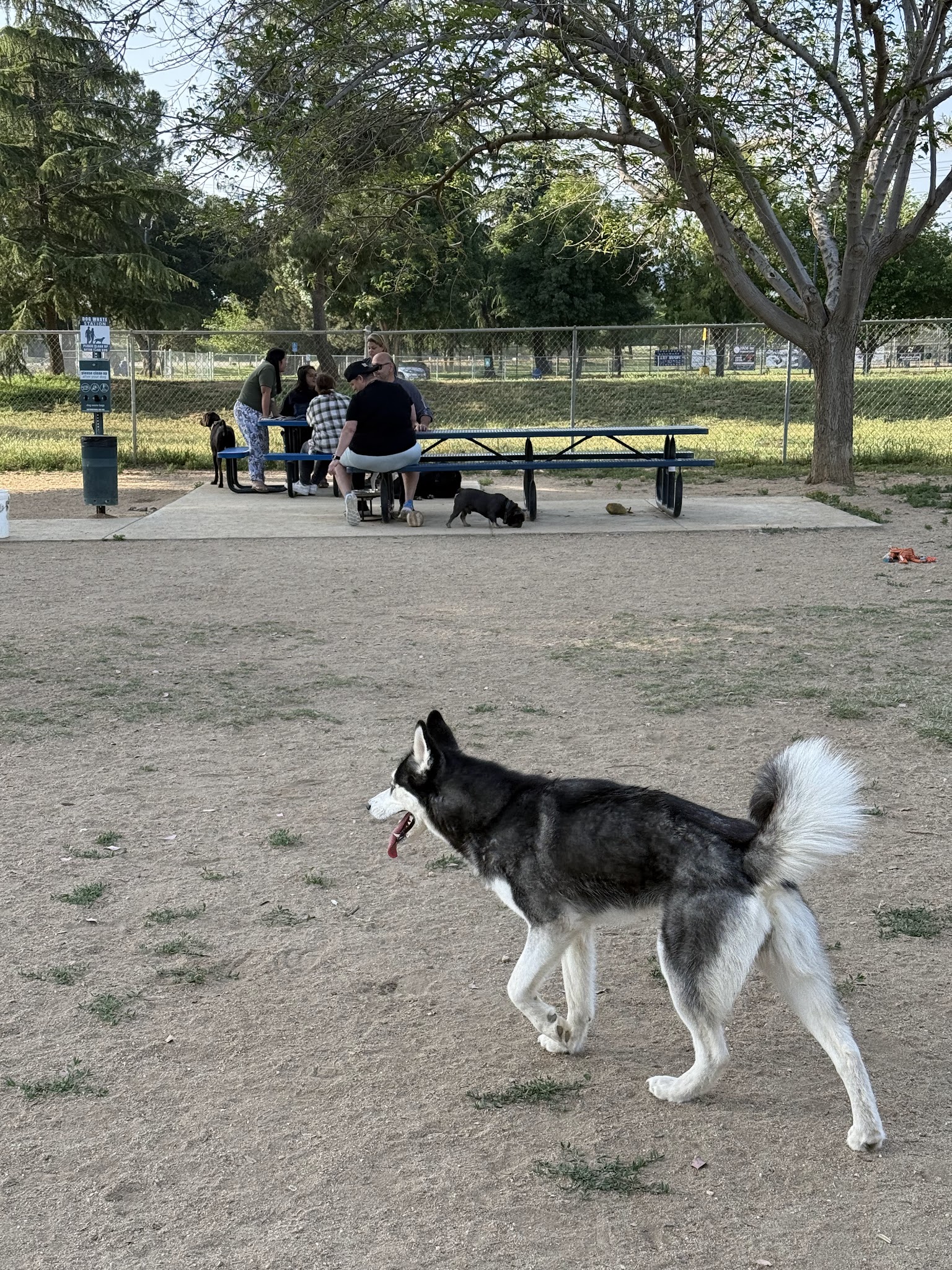 Noble Dog Park - Beaumont, CA