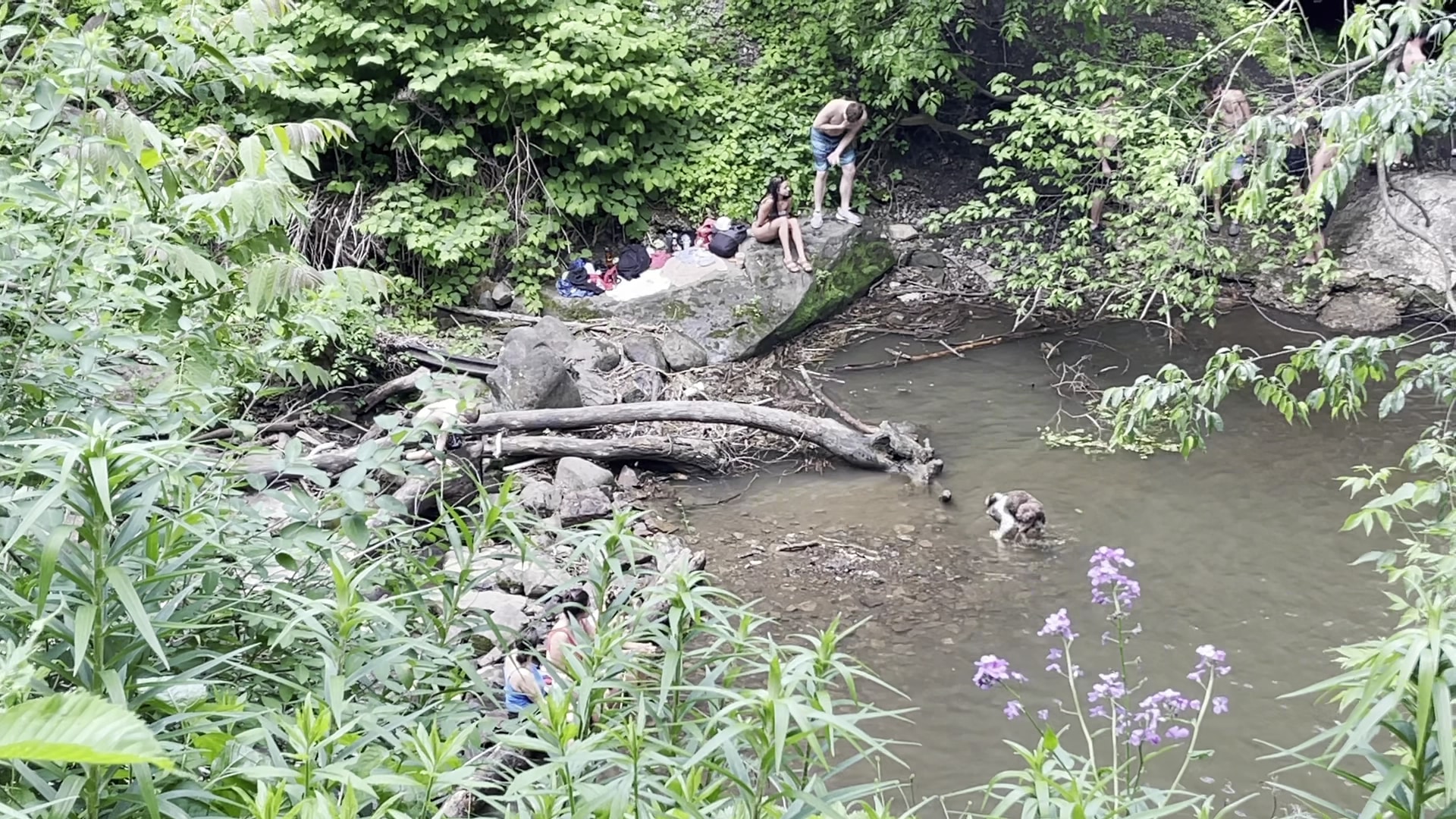 Buttermilk Falls Natural Area - Beaver Falls, PA