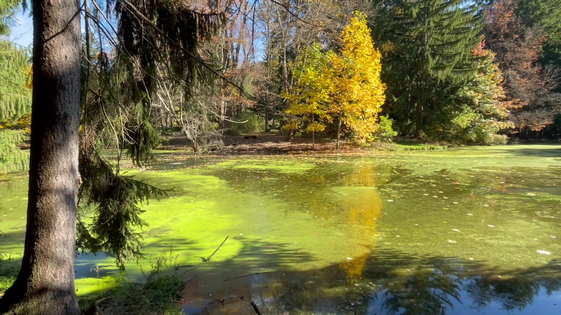 I.S. and Gertrude Sahli Nature Park - Beaver Falls, PA