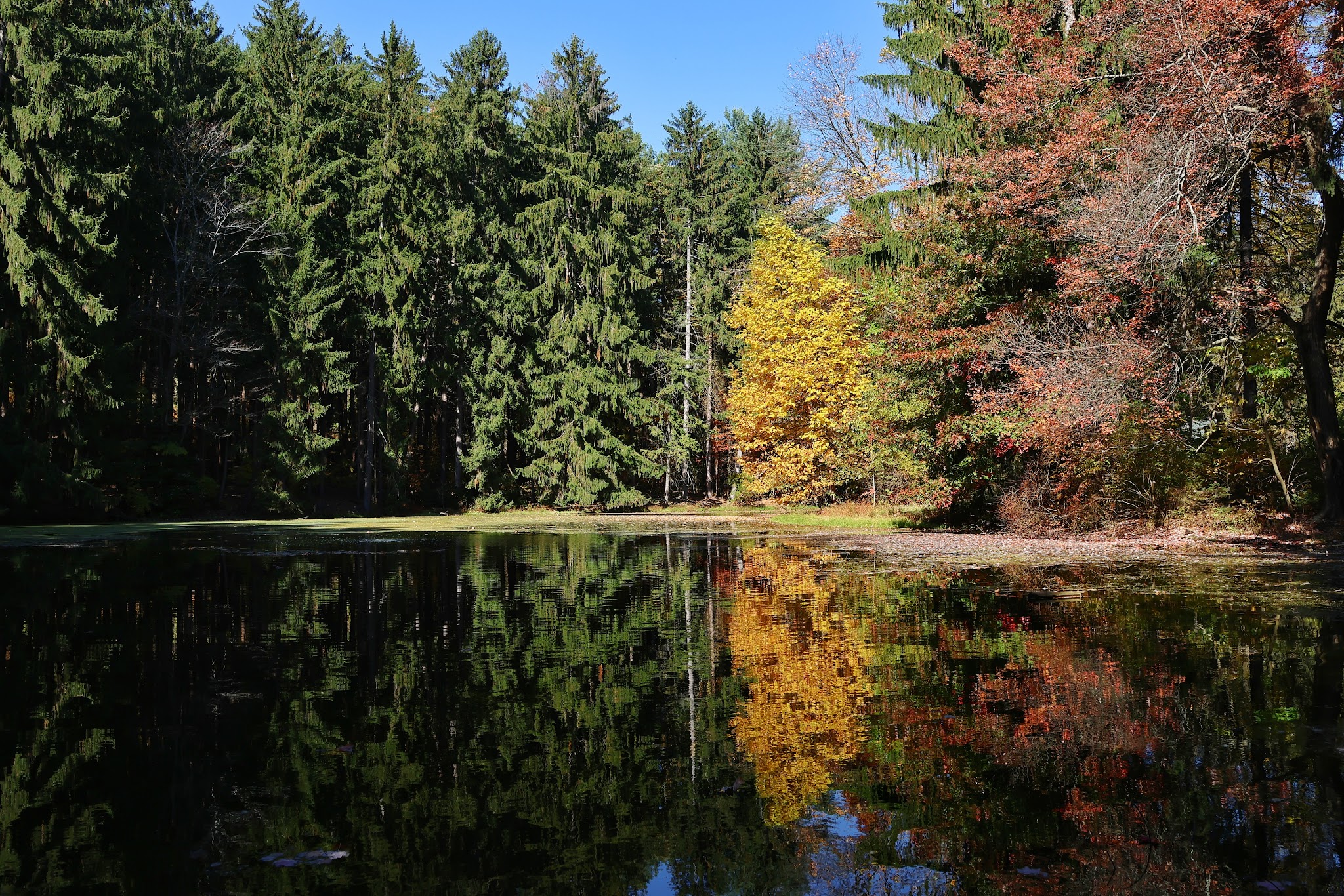 I.S. and Gertrude Sahli Nature Park - Beaver Falls, PA