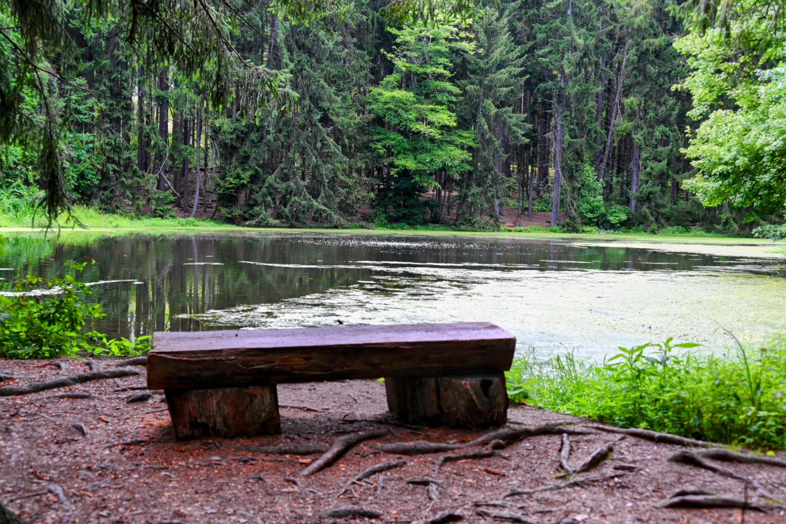 I.S. and Gertrude Sahli Nature Park - Beaver Falls, PA