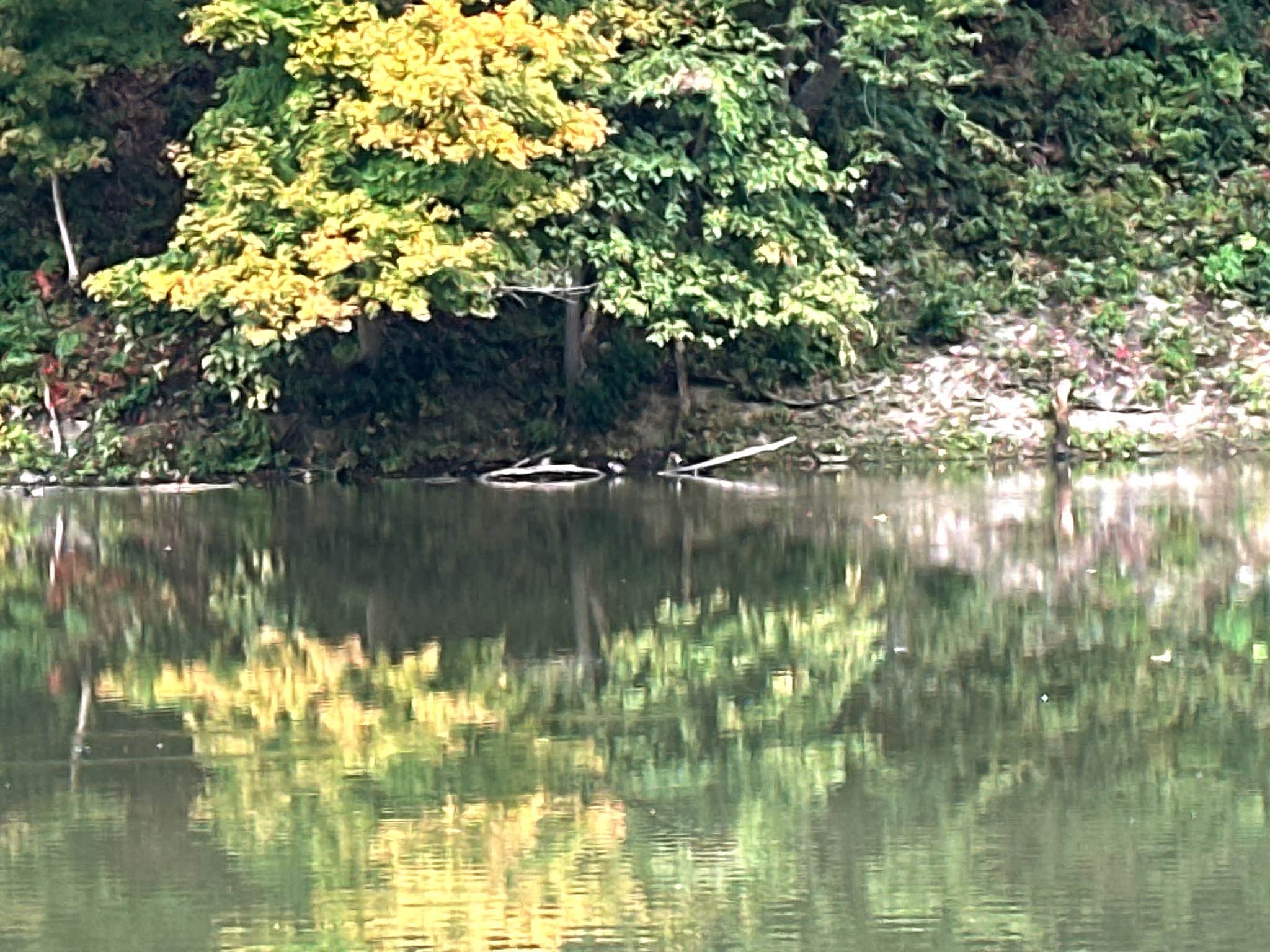 Brady's Run Shelter #14 - Beaver, PA