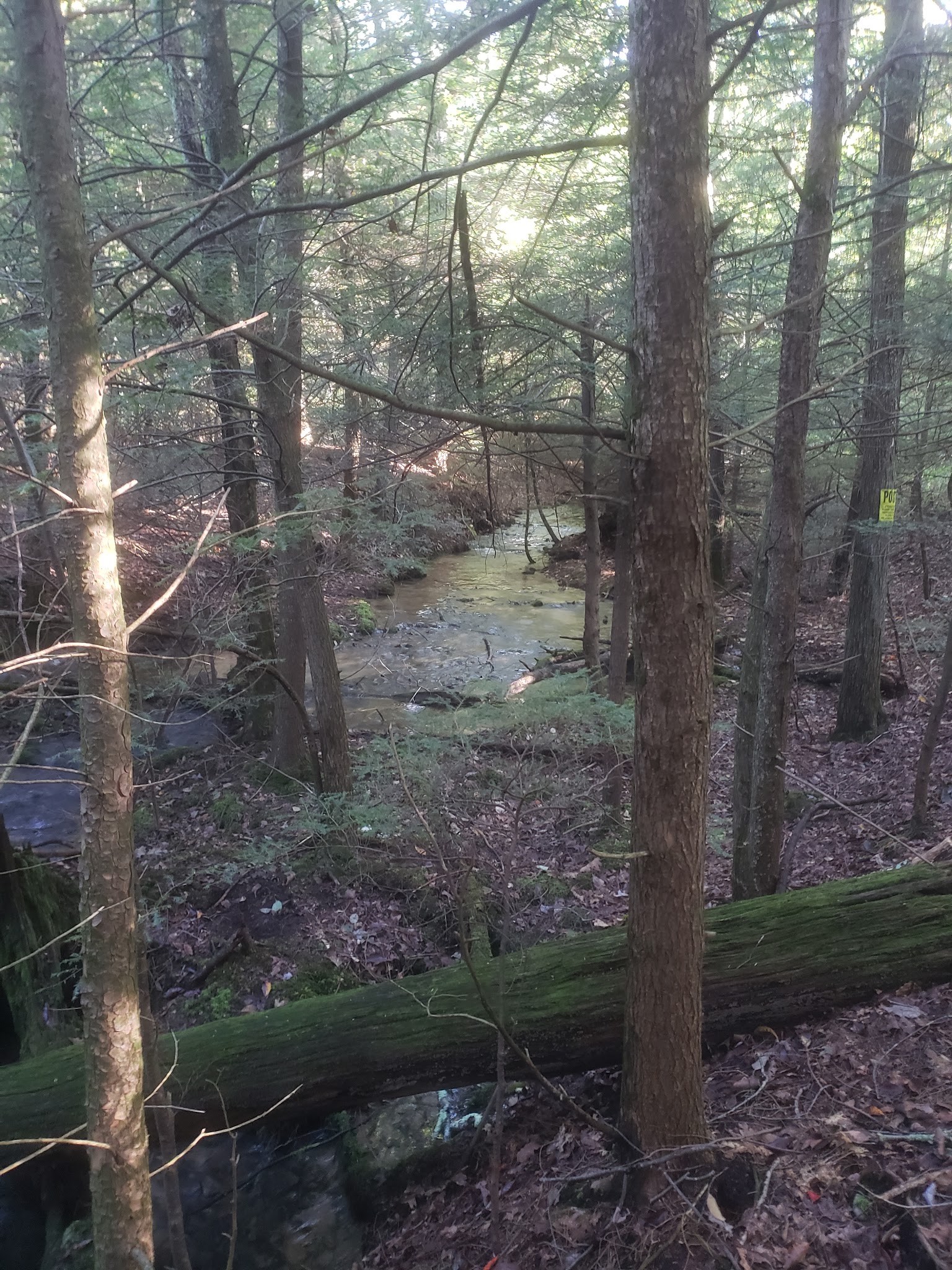 Shade Mountain Trailhead - Beaver Springs, PA