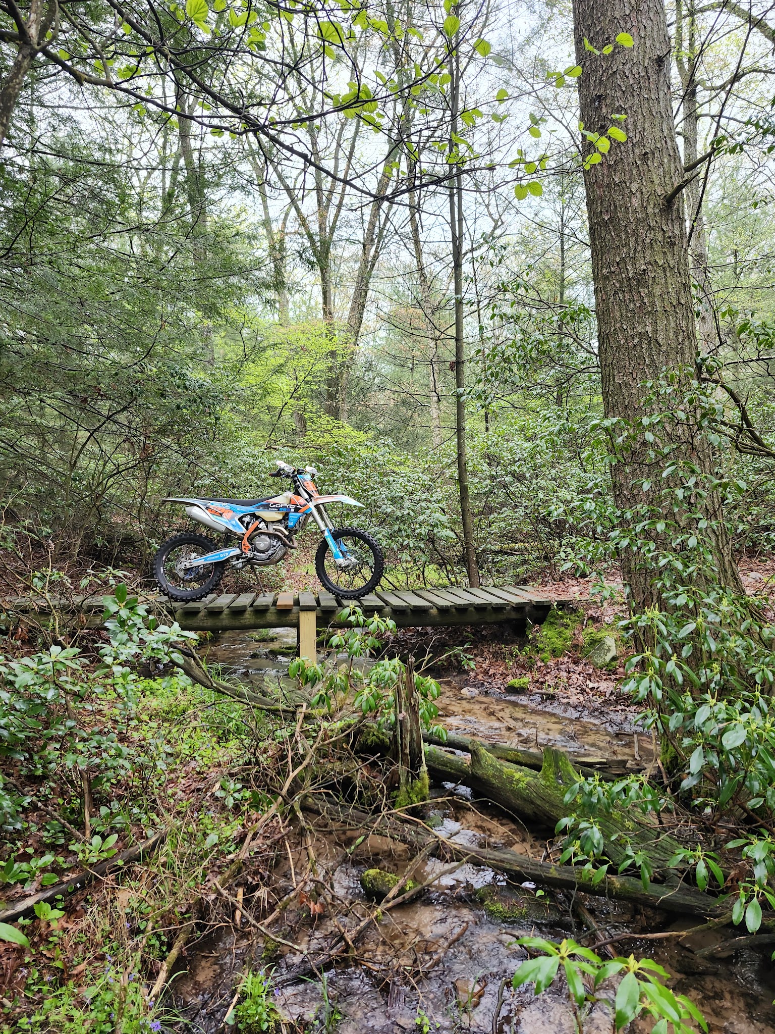 Shade Mountain Trailhead - Beaver Springs, PA