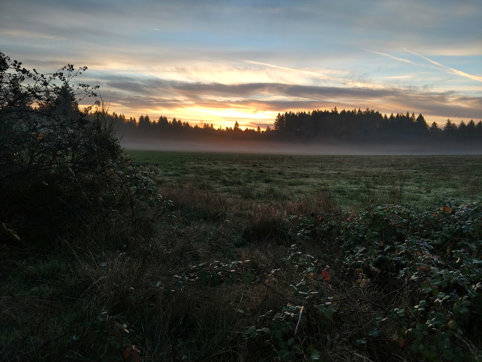 Beavercreek Community Park - Beavercreek, OR