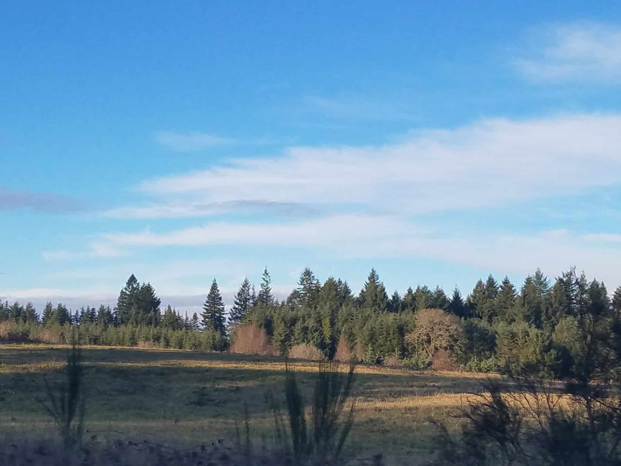 Beavercreek Community Park - Beavercreek, OR