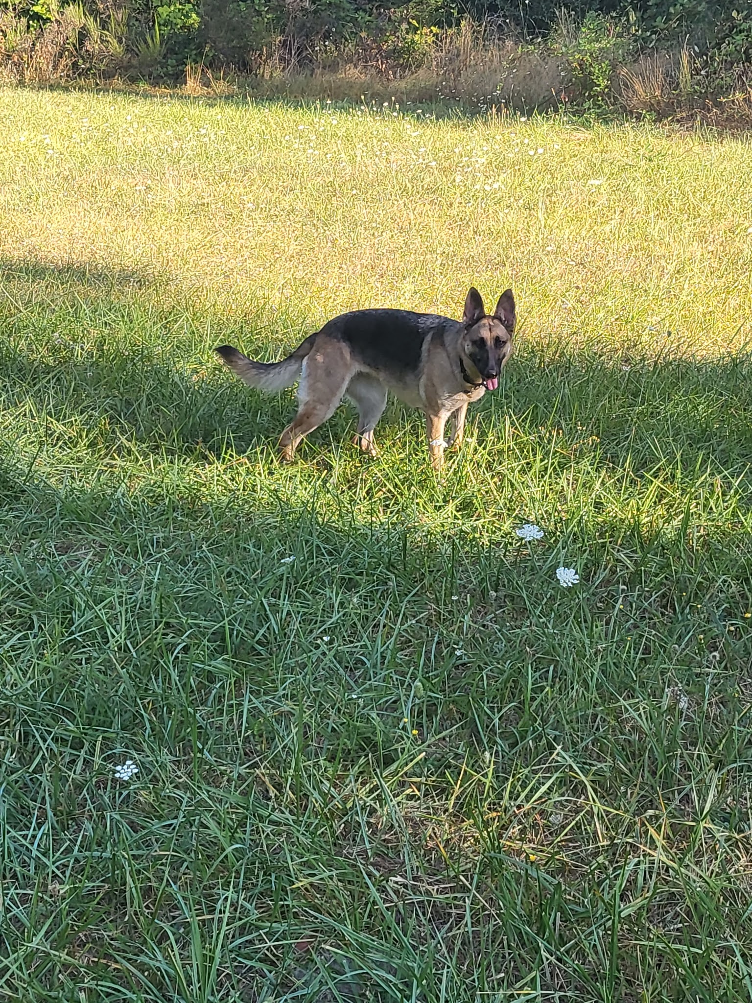 Beavercreek Community Park - Beavercreek, OR