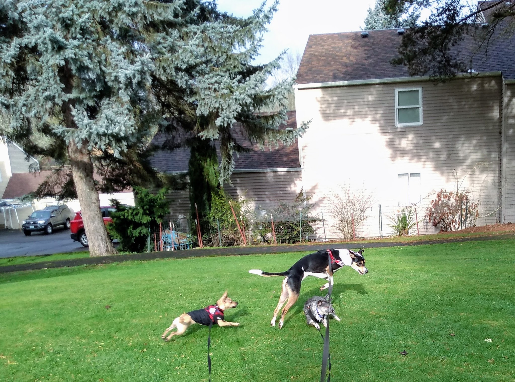 Channing Heights Park - Beaverton, OR