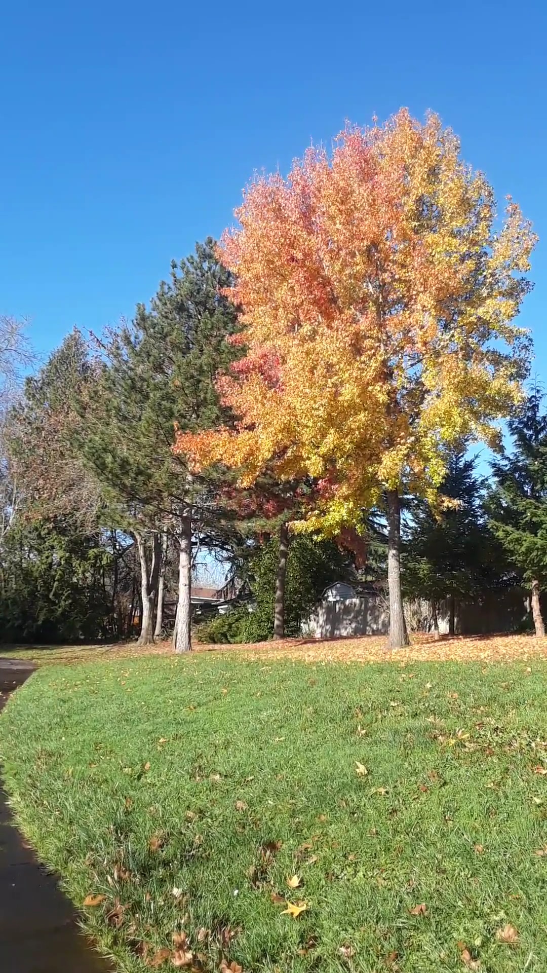 Greenway Park - Beaverton, OR