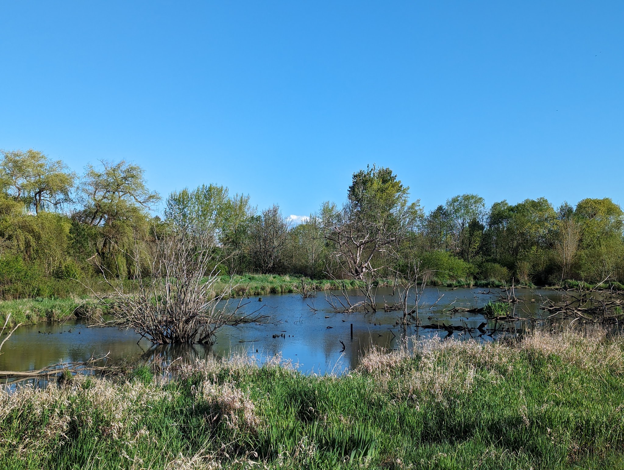 Greenway Park - Beaverton, OR