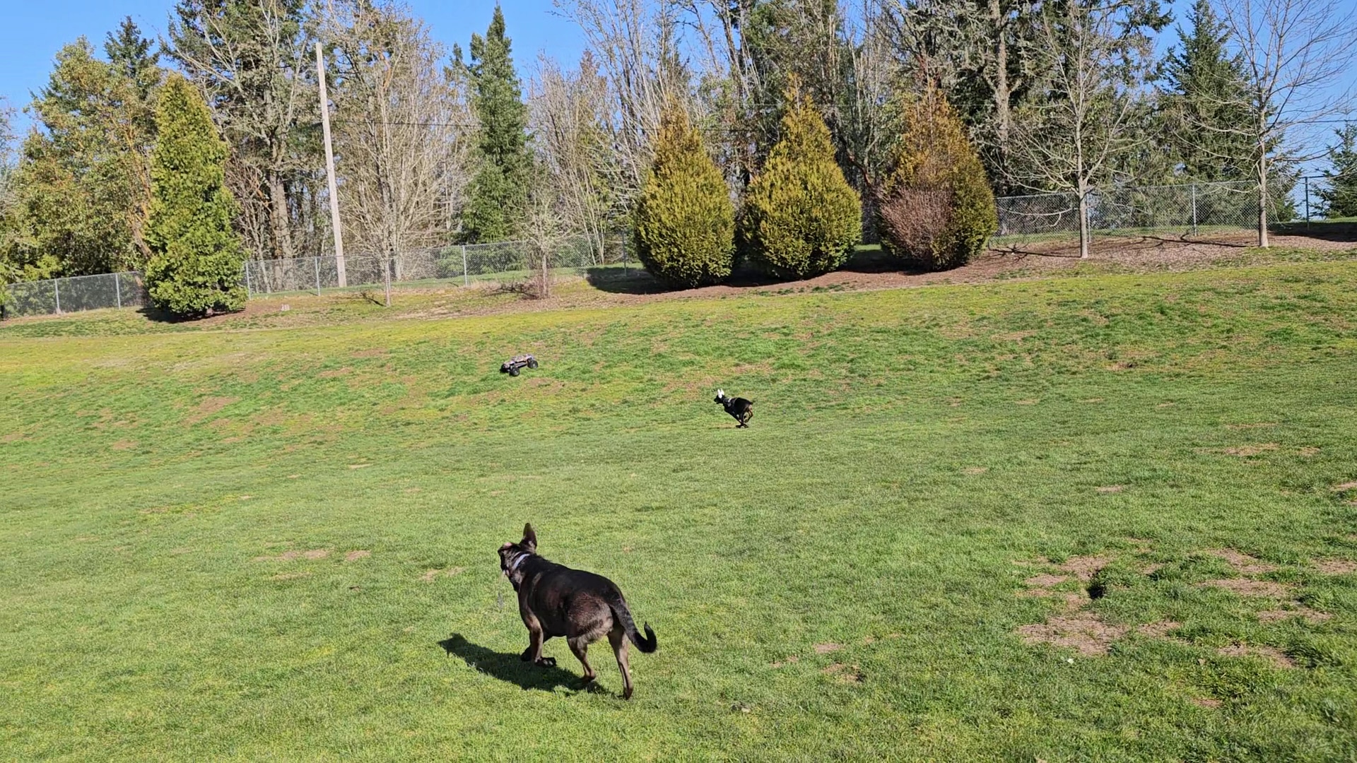 Winkelman Dog Park - Beaverton, OR