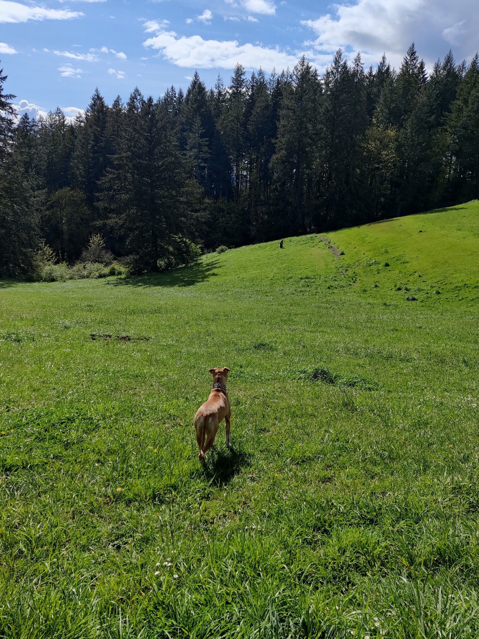 Winkelman Dog Park - Beaverton, OR