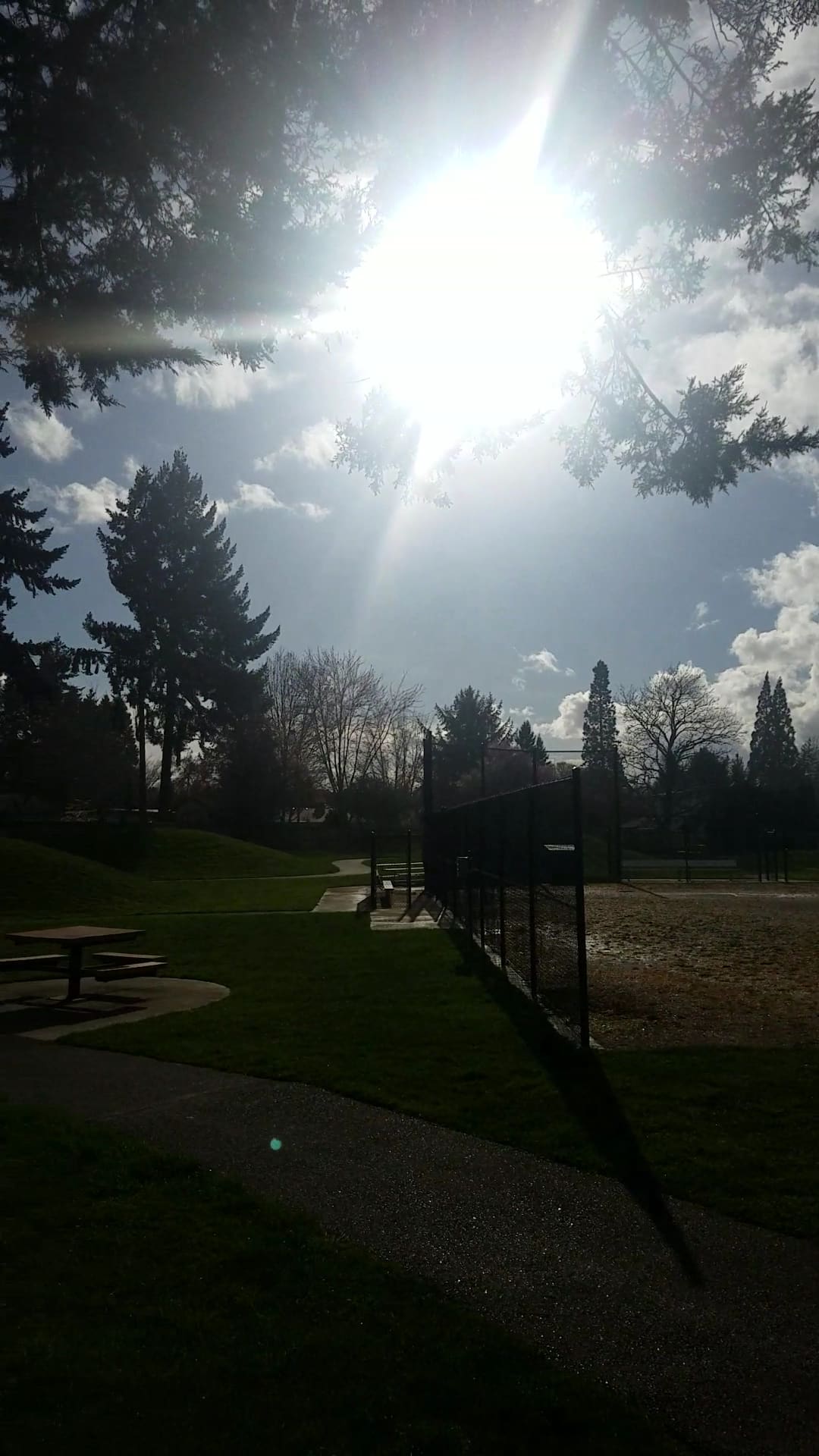 Barsotti Park - Beaverton, OR