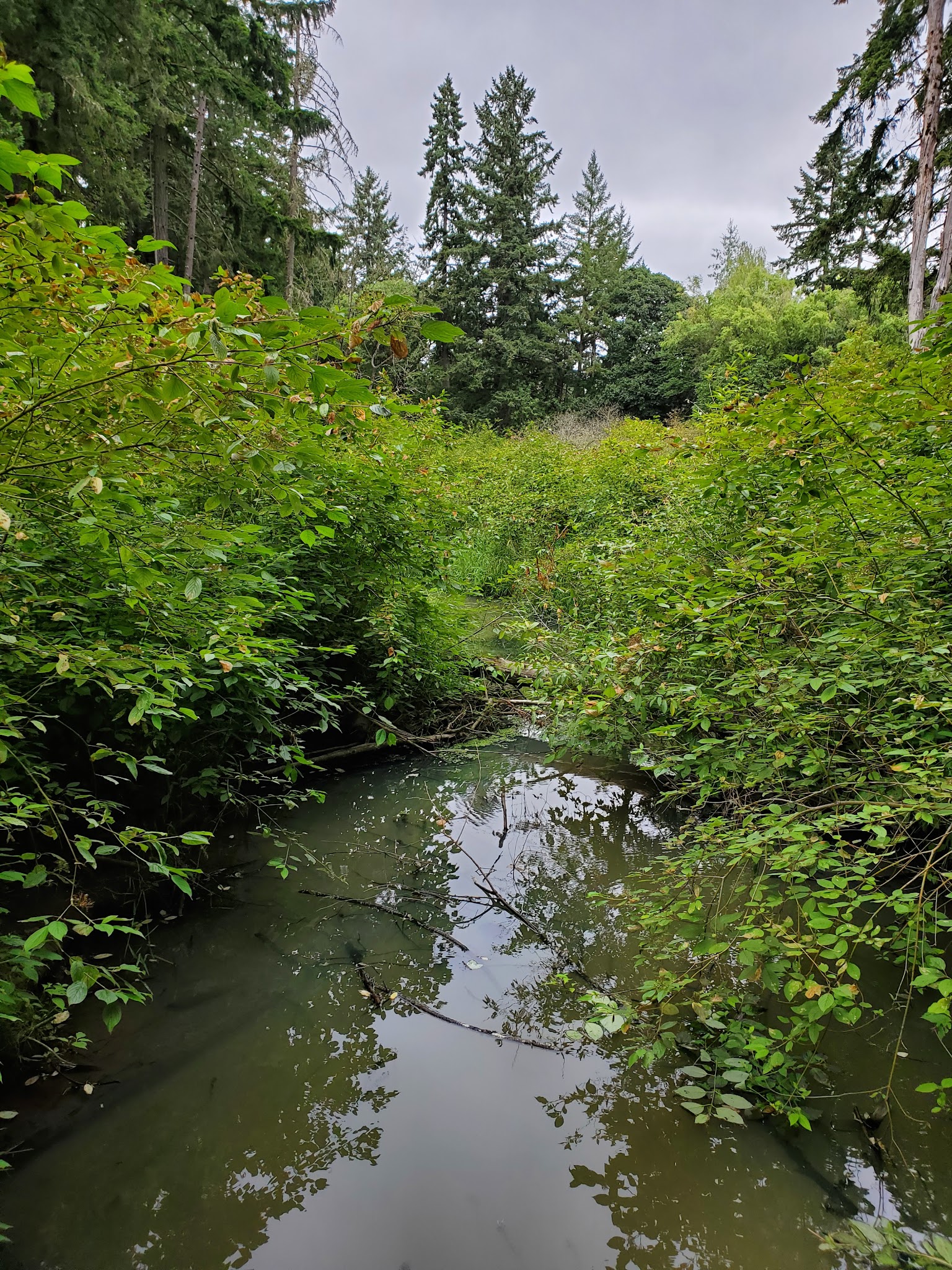 Brookhaven Park - Beaverton, OR