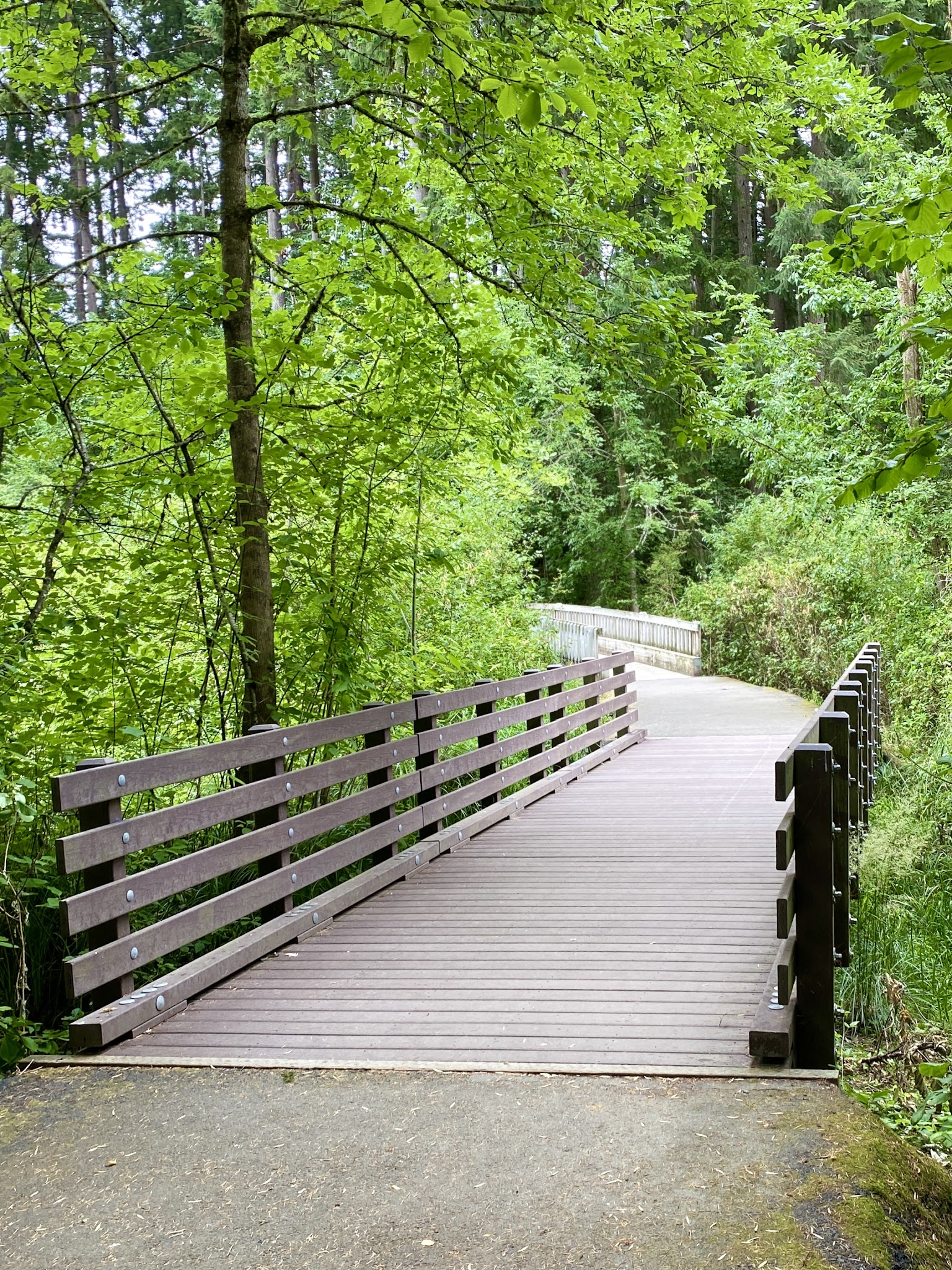 Brookhaven Park - Beaverton, OR