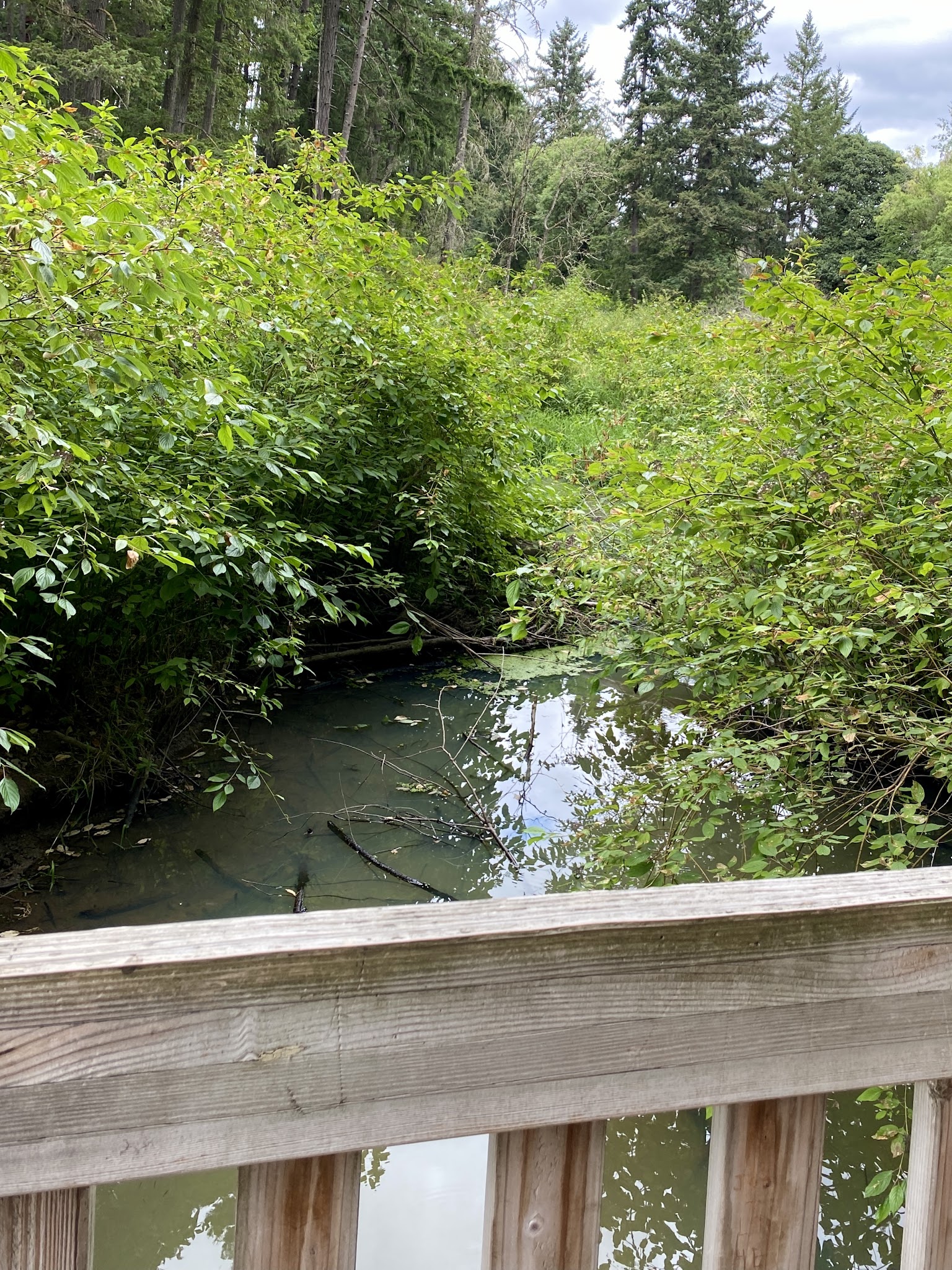 Brookhaven Park - Beaverton, OR
