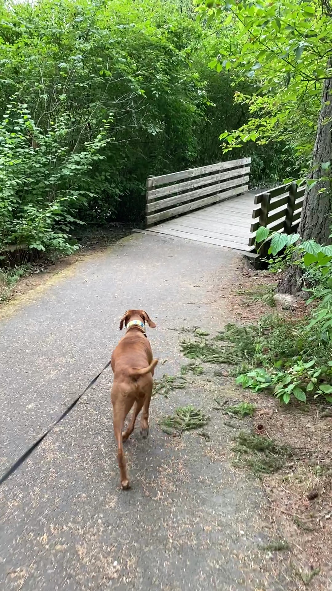 Brookhaven Park - Beaverton, OR
