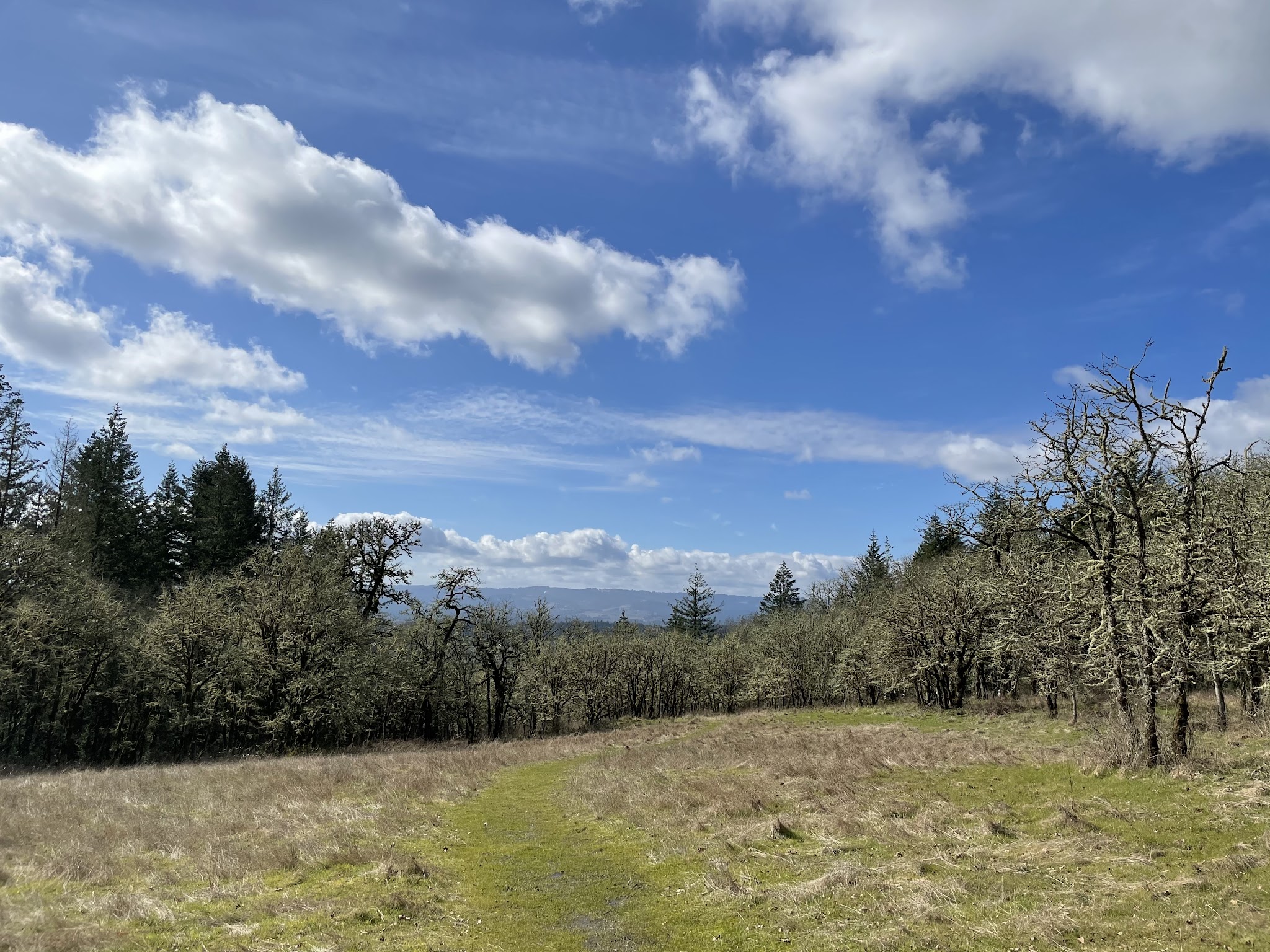 Cooper Mountain Nature Park - Beaverton, OR