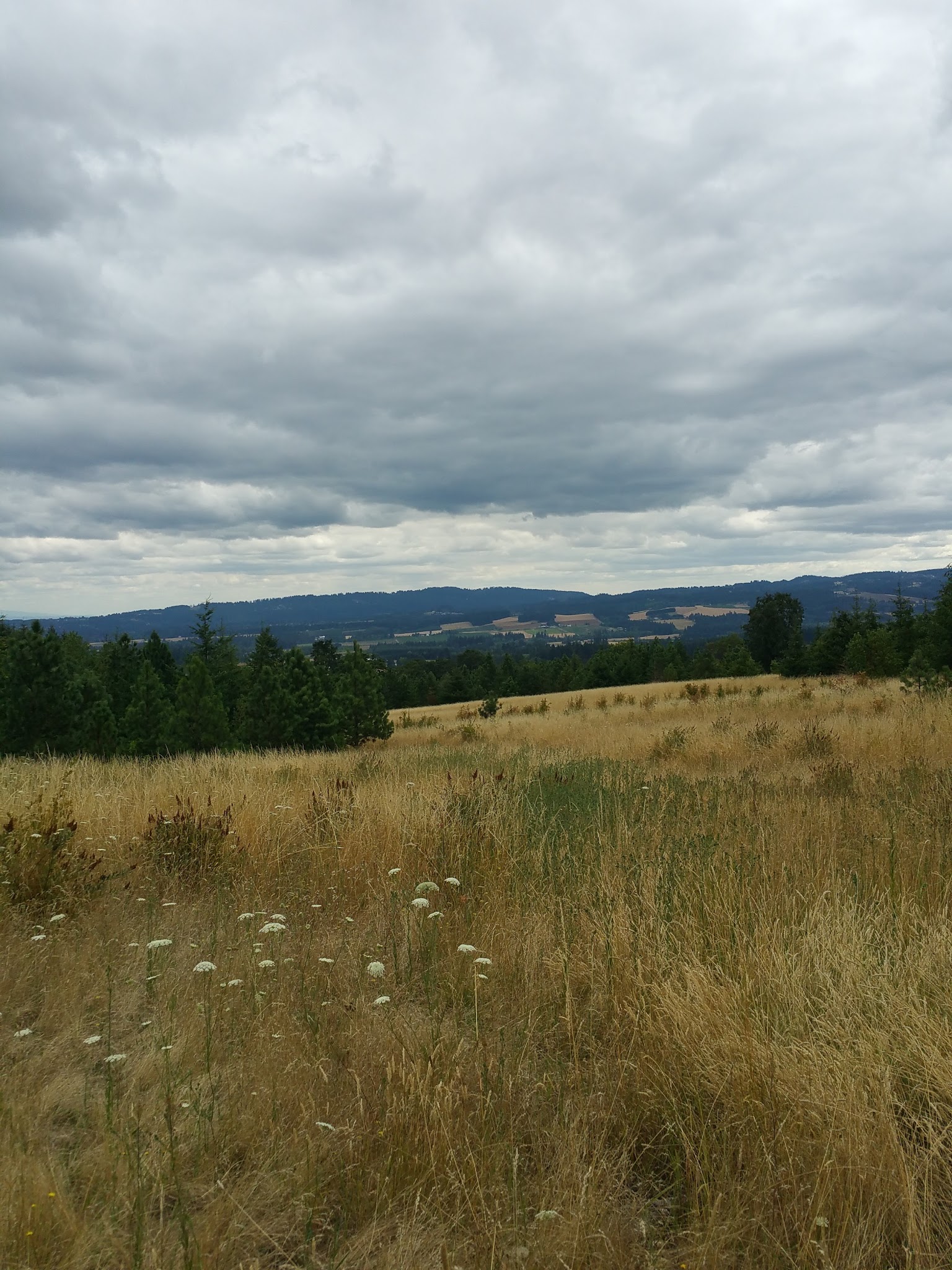 Cooper Mountain Nature Park - Beaverton, OR
