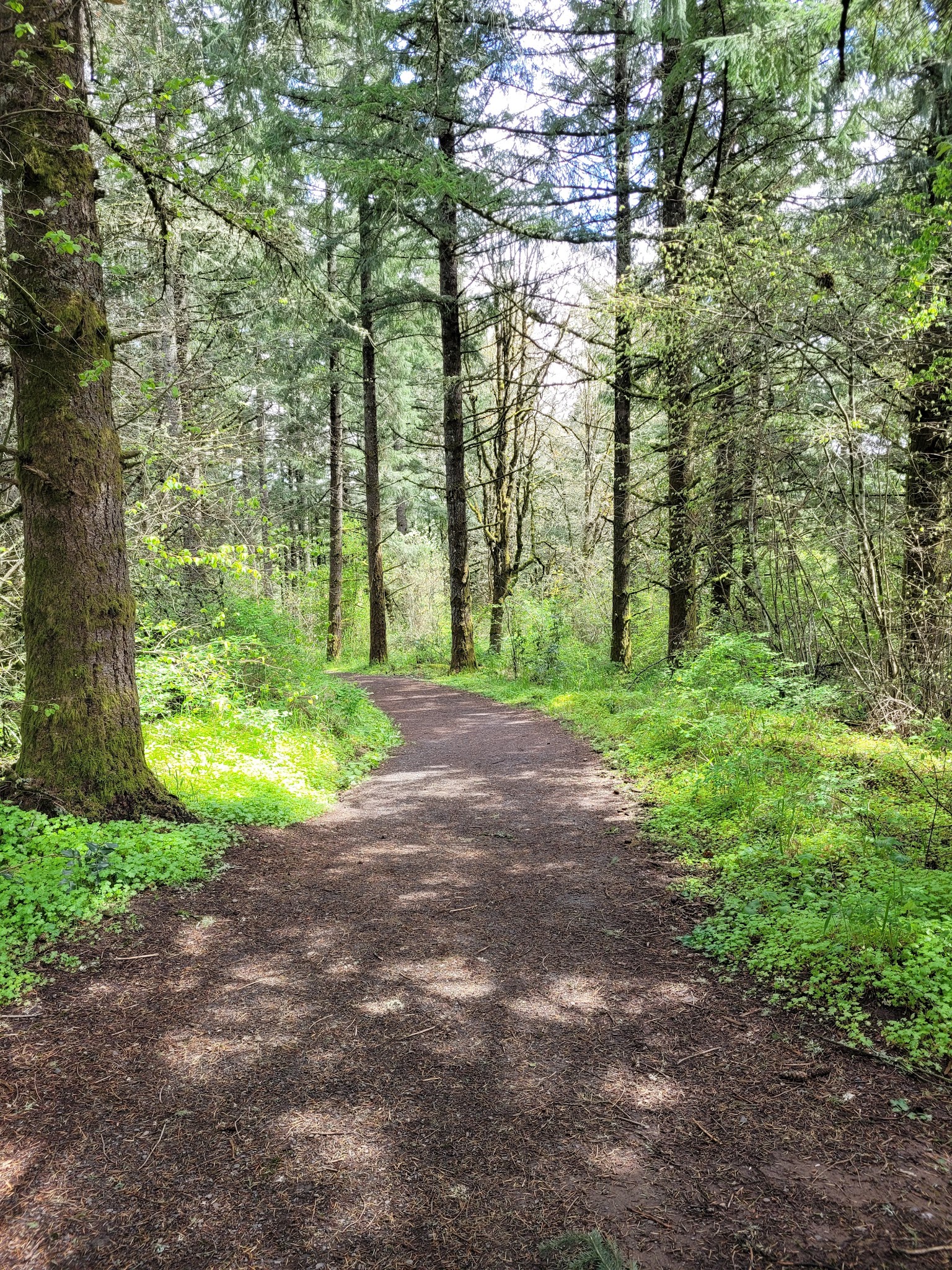 Cooper Mountain Nature Park - Beaverton, OR