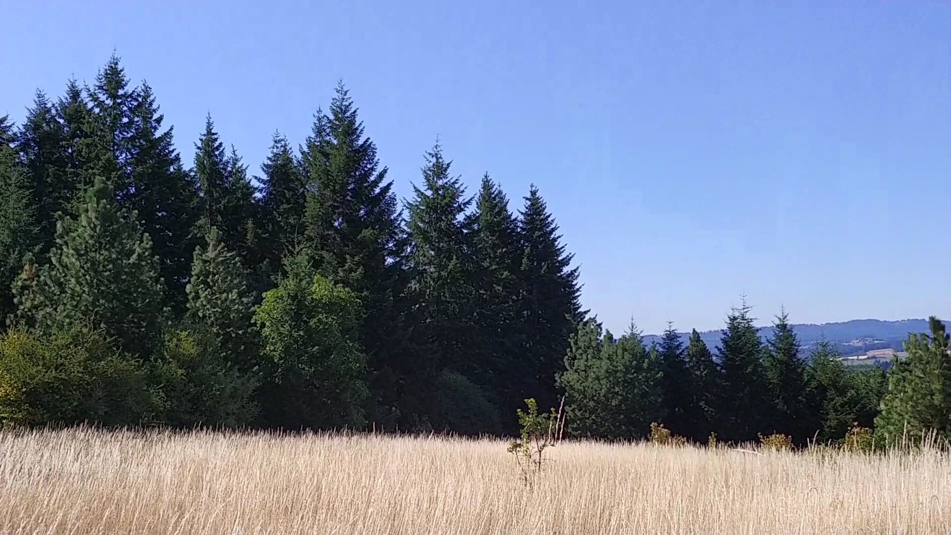 Cooper Mountain Nature Park - Beaverton, OR