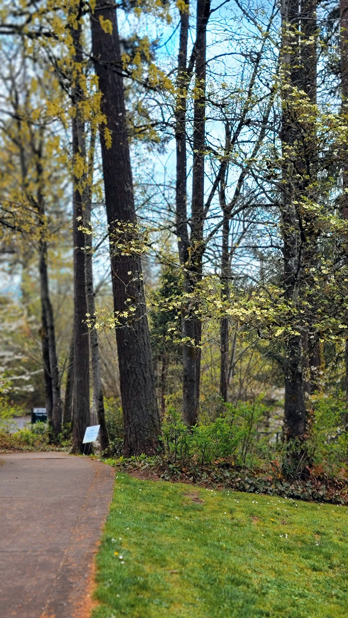 Foege Park - Beaverton, OR